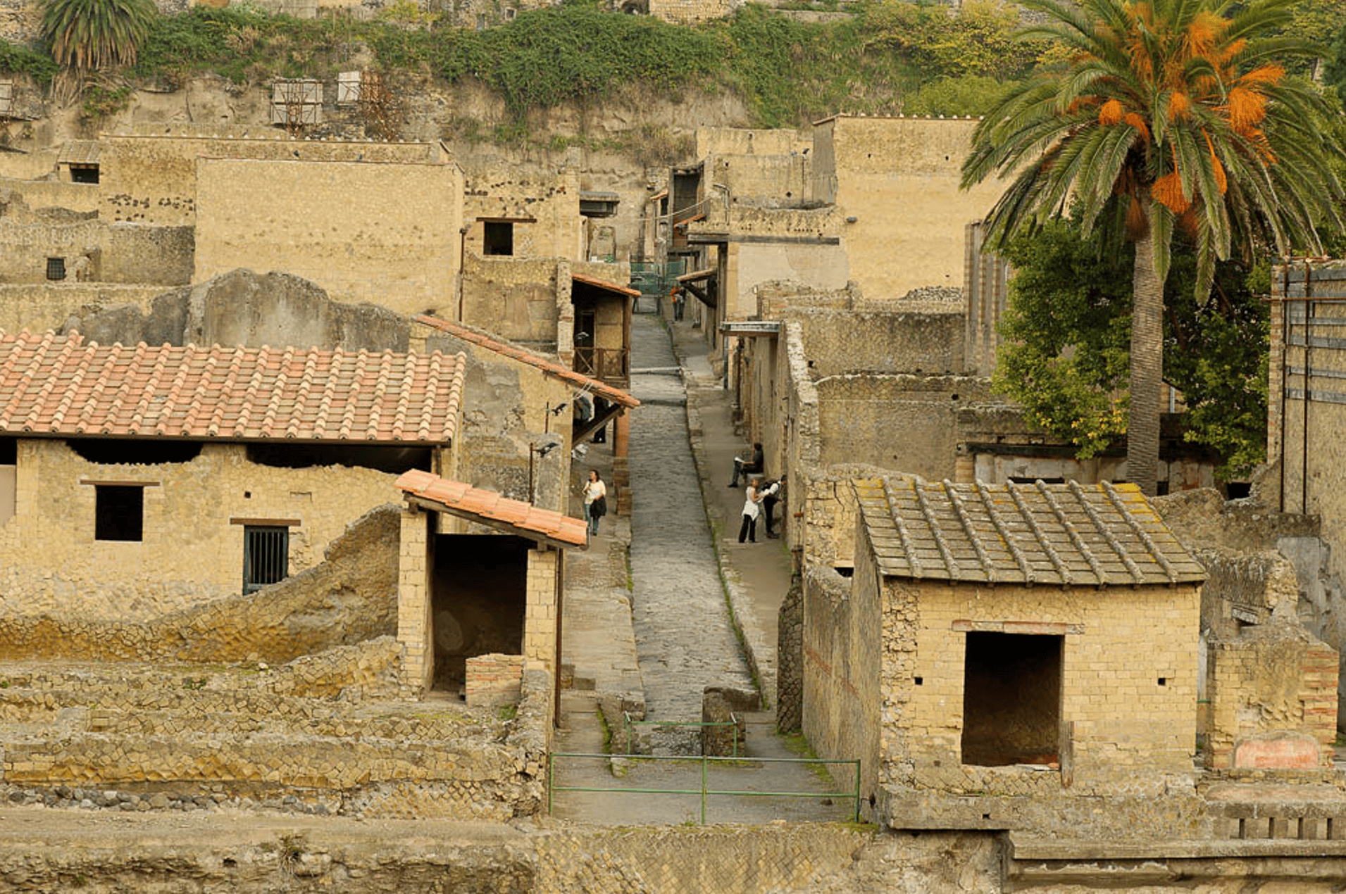 Herculaneum Street