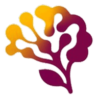 bloomnow App für Familien mit neurodivergenten Kindern