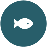 fishing-icon