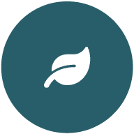 foliage-icon-1