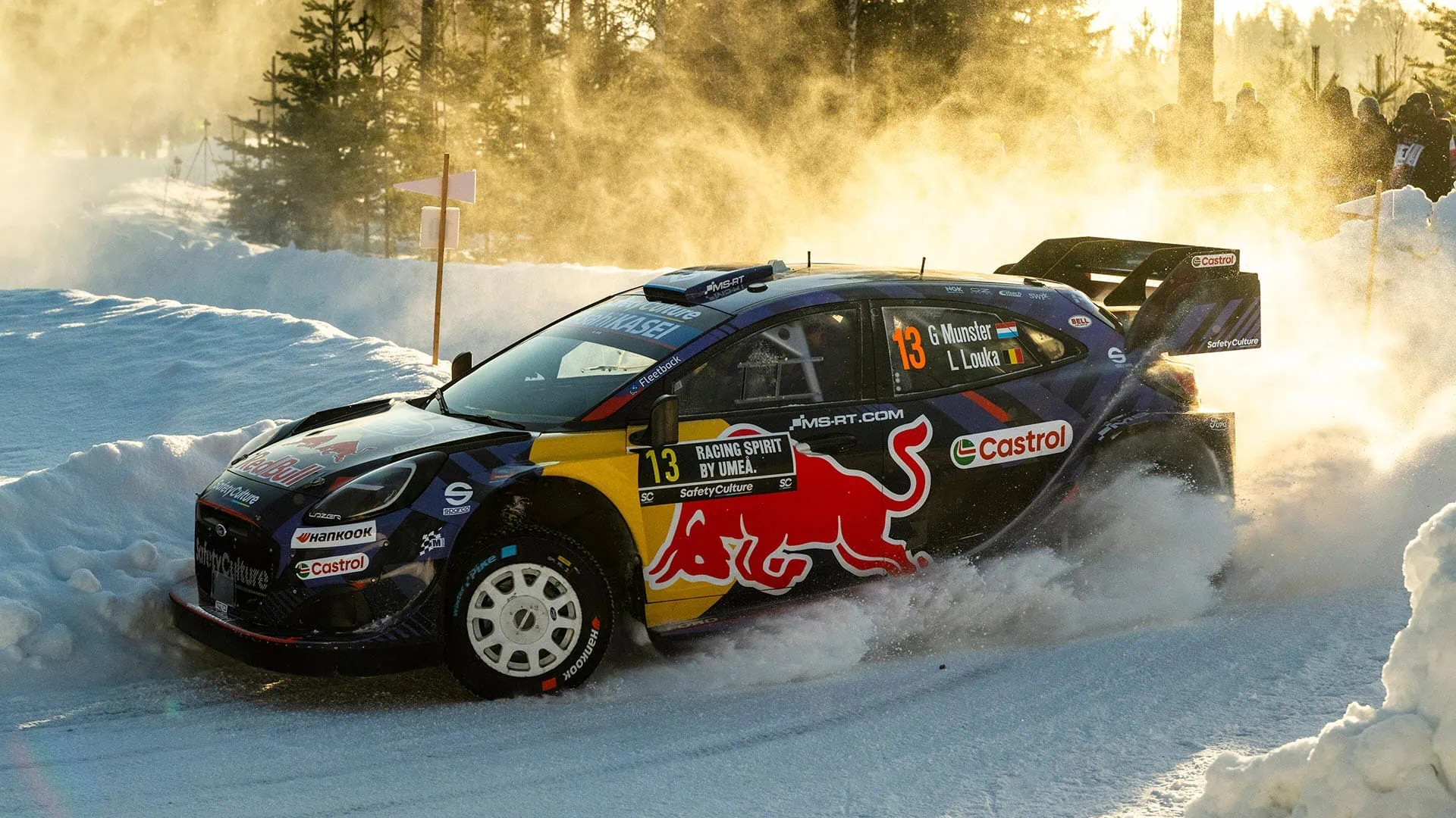 Red Bull Rally