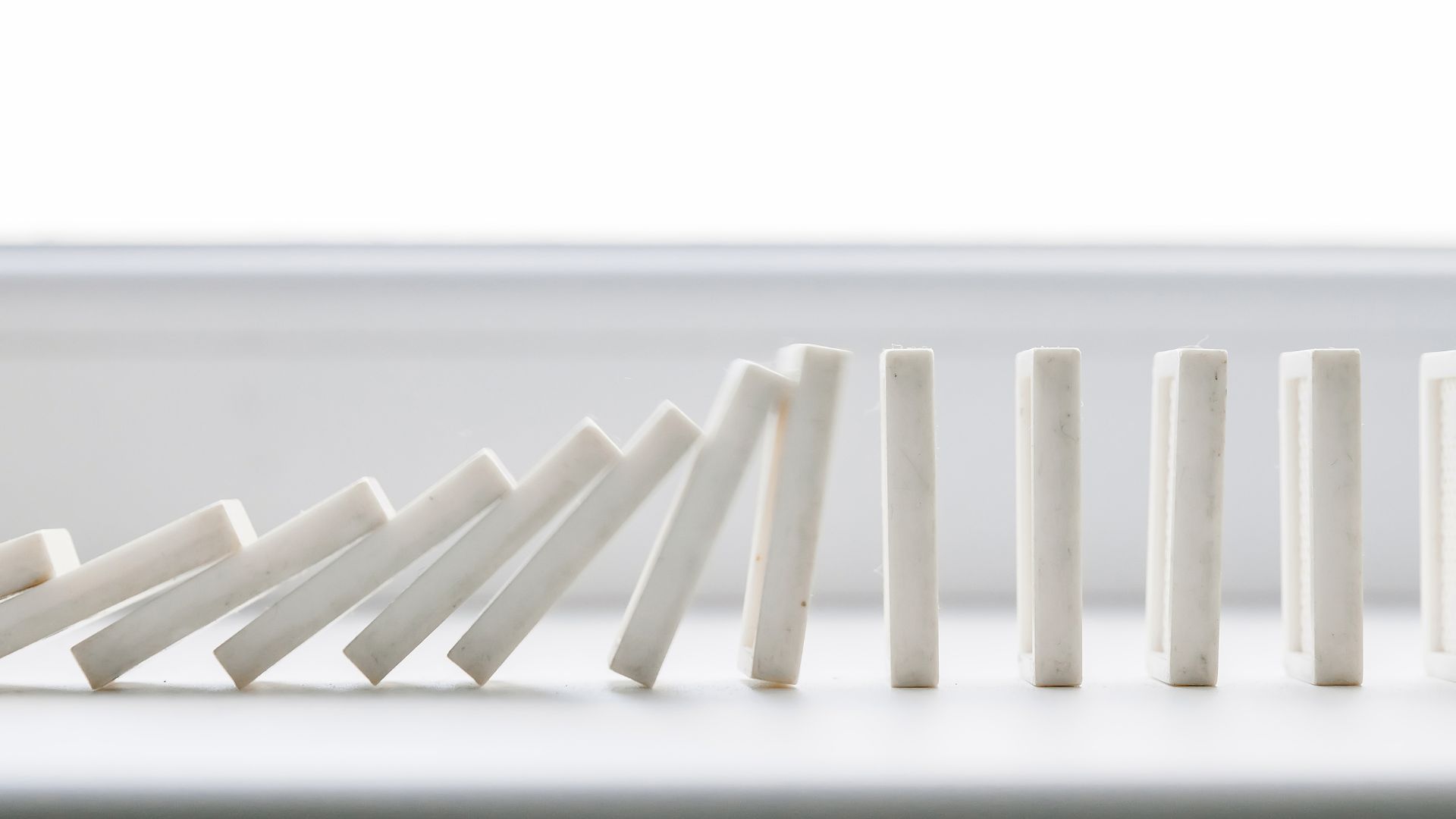 갤럽 강점 팀워크