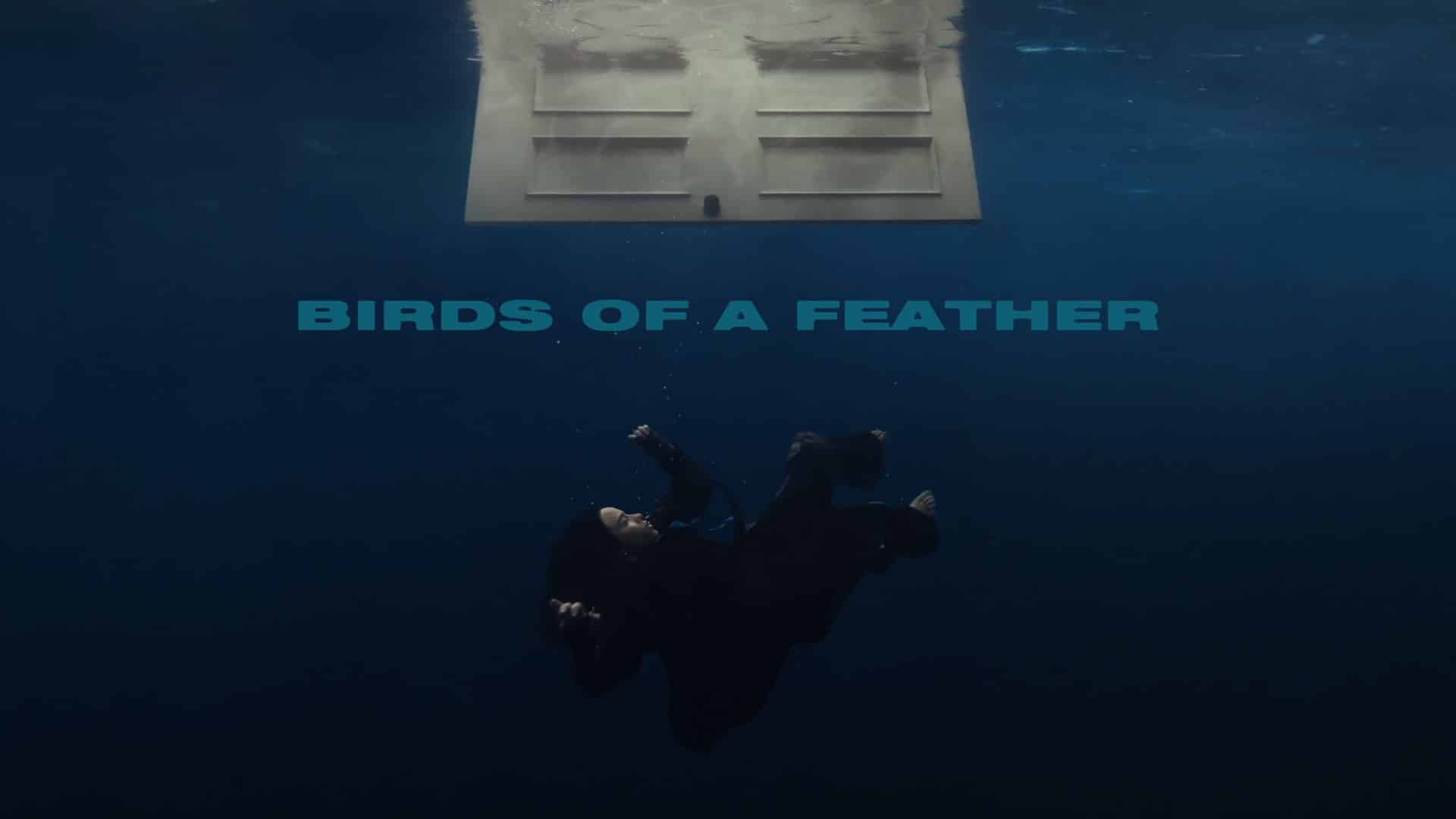 Birds of a Feather Song