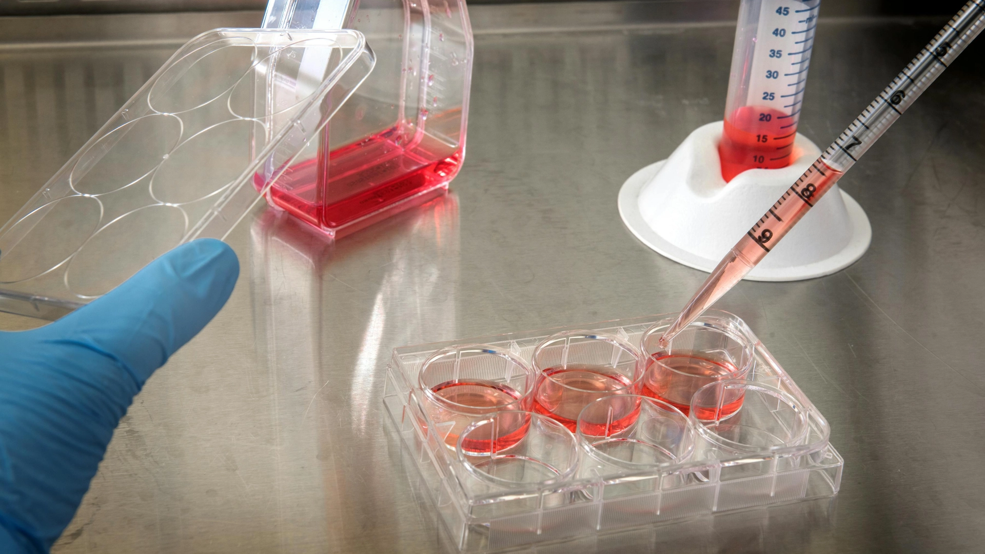Cell Lines 1