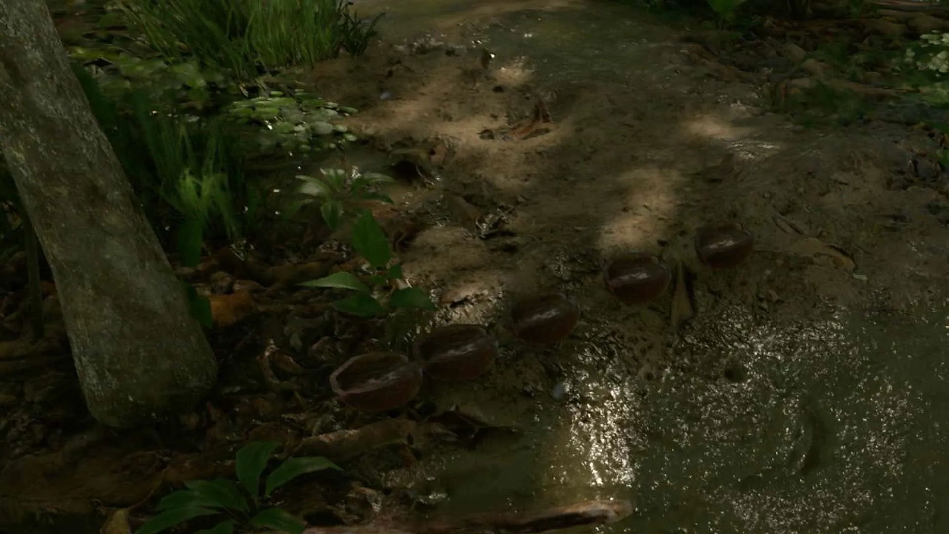 Green Hell: Trinkbares Wasser kannst du gewinnen, indem du Kokos-Schalen aufstellst und Regen auffängst