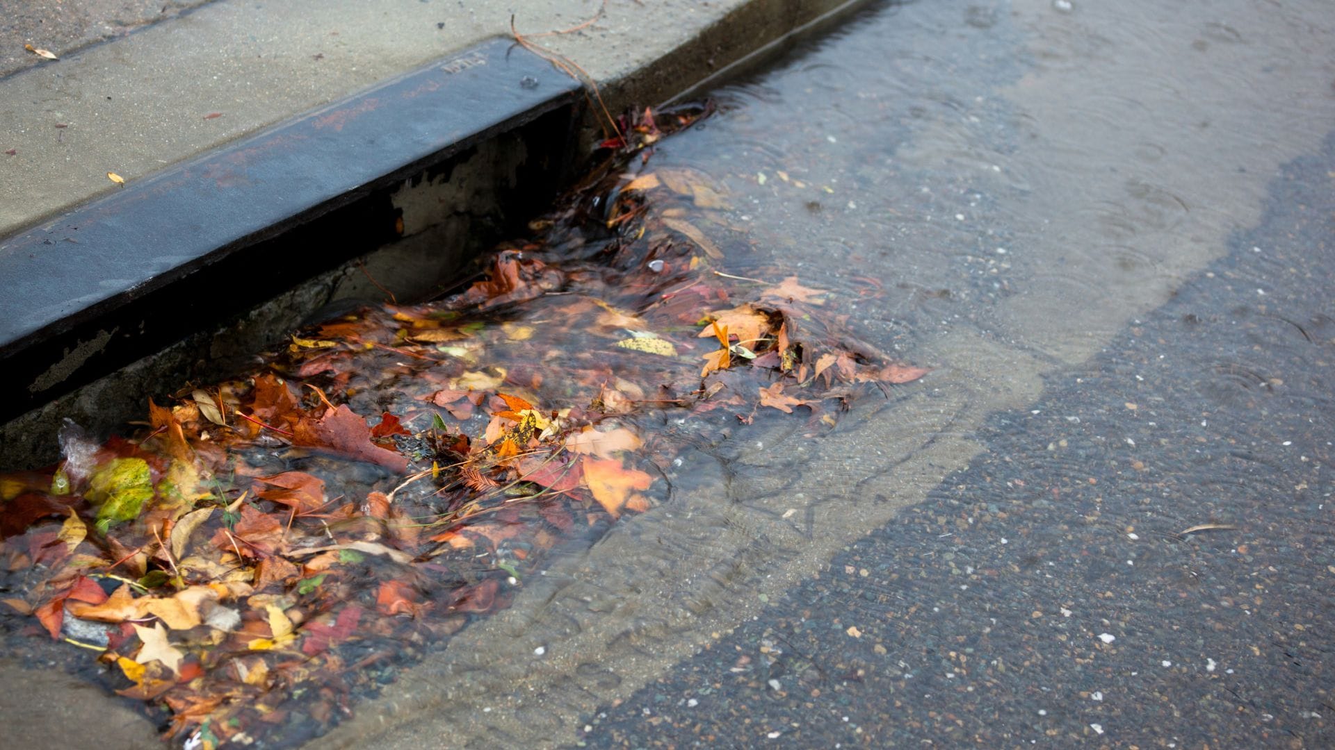 Monitor drainage after storm