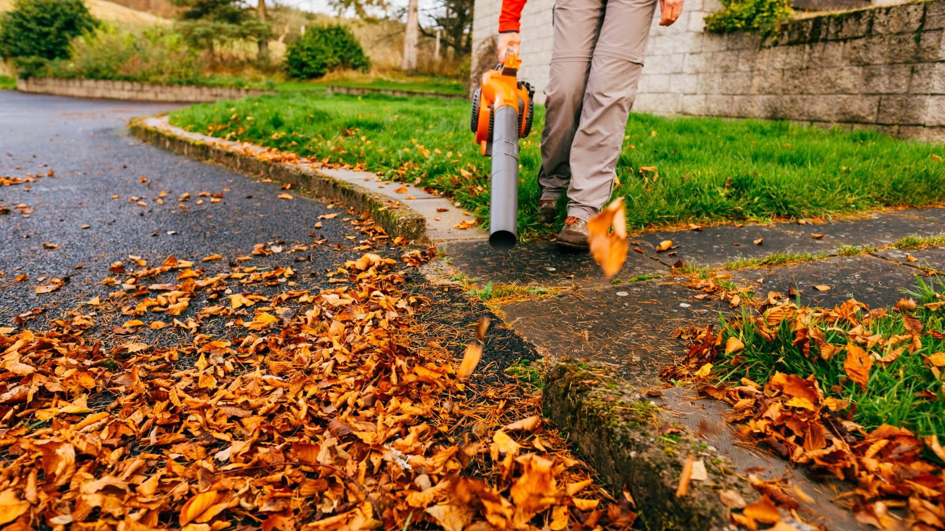 Remove Leaves (1)