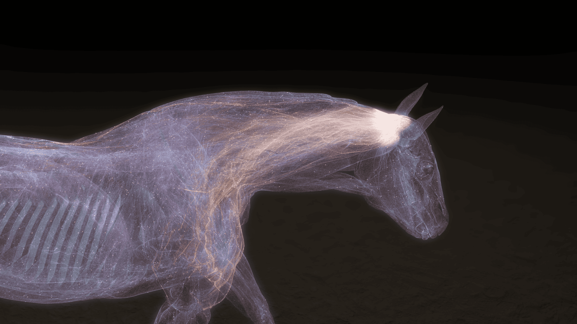LIEquineTherapypollEnergy