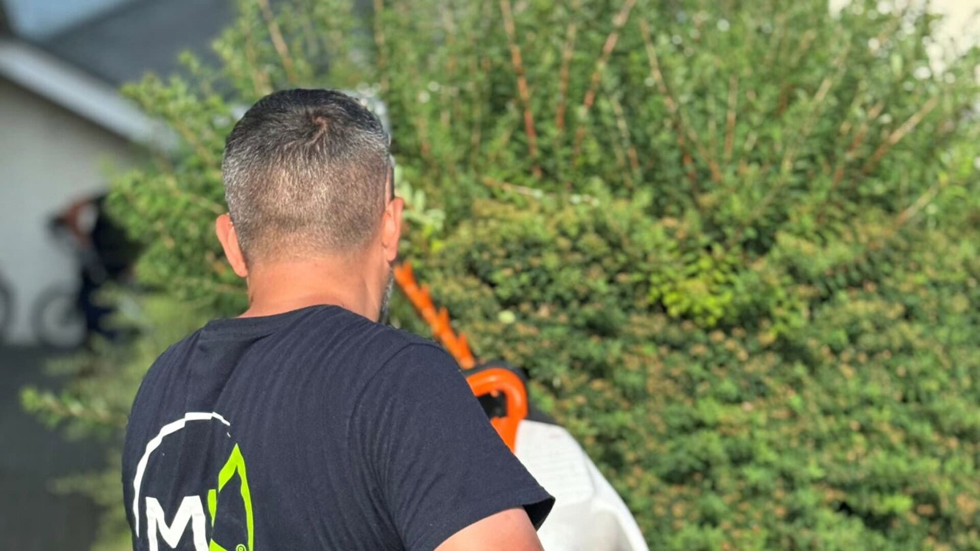 So Erhalten Sie Einen Schönen Und Gepflegten Garten