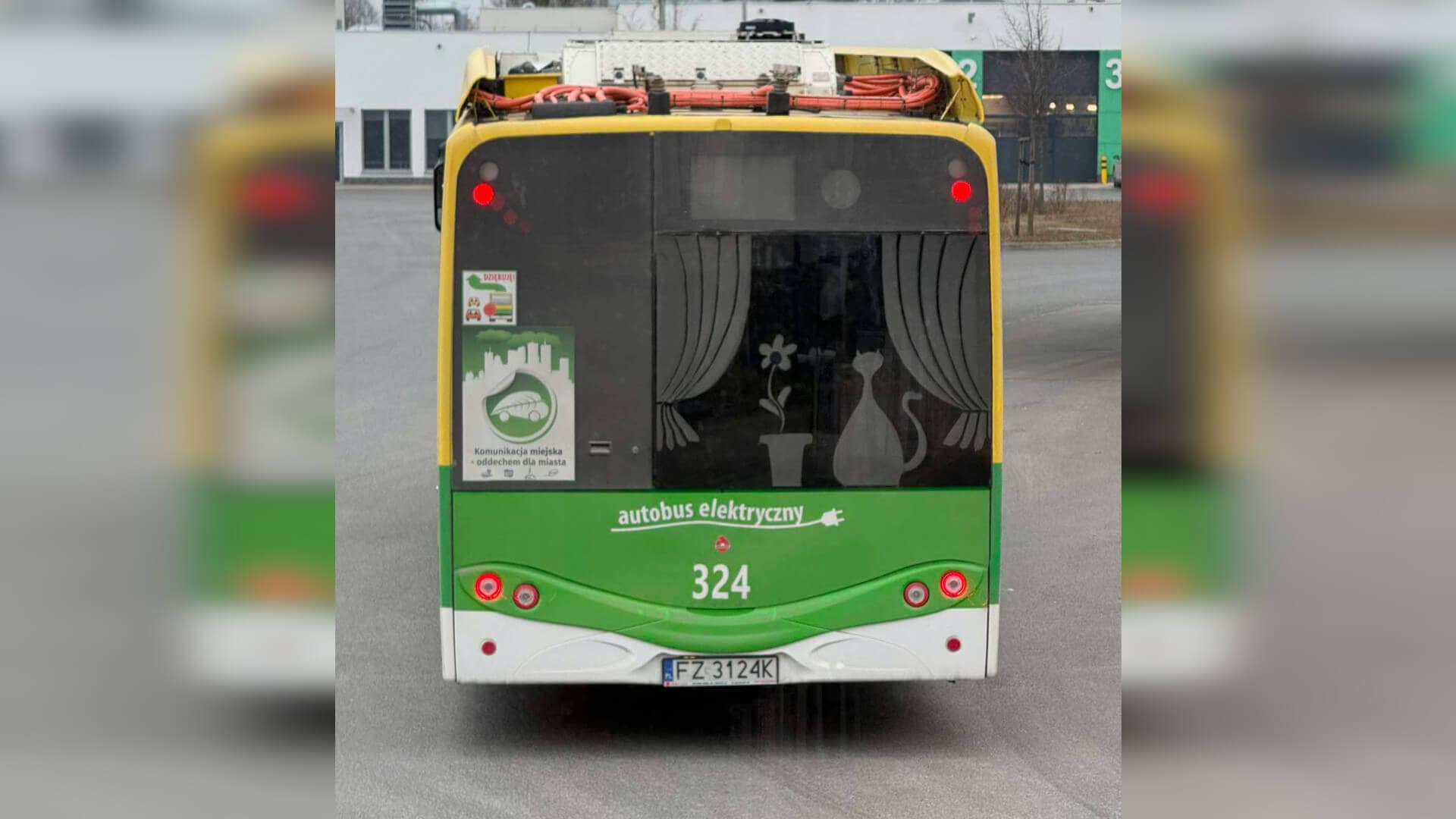kierowca MZK Zielona Góra - sztuka na szybie autobusu