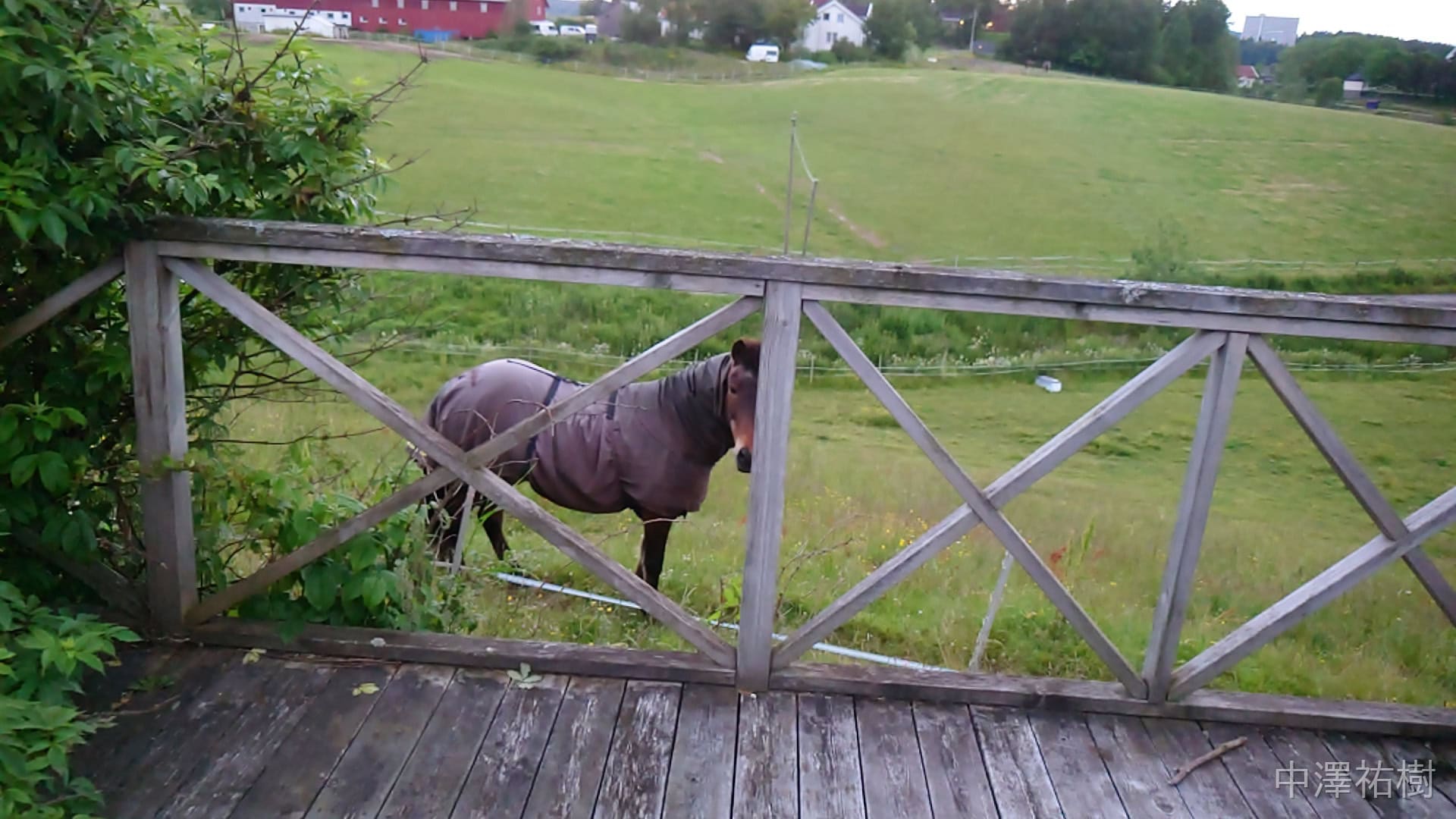 一軒家の玄関の前に馬がいる