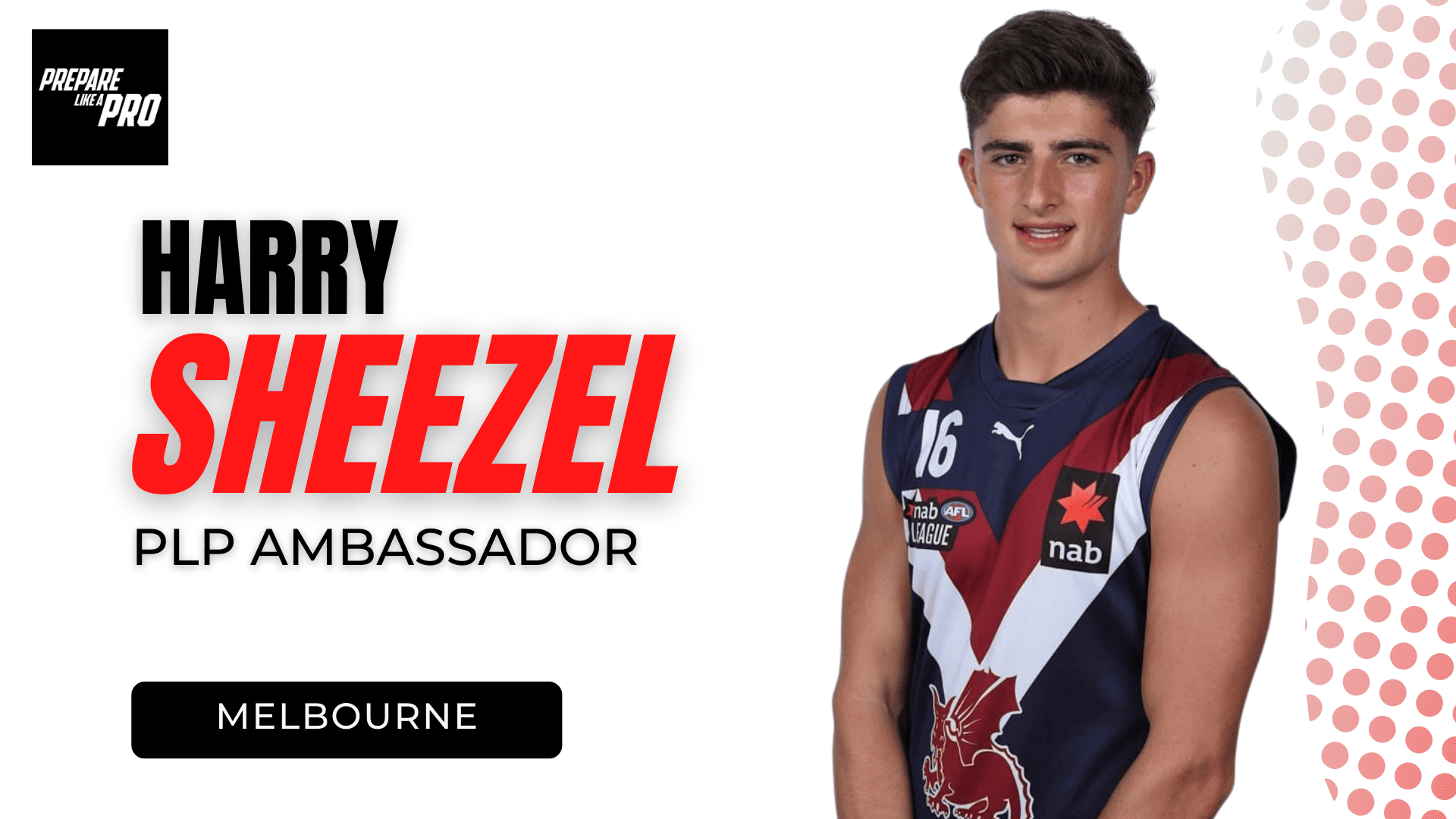 Harry Sheezel