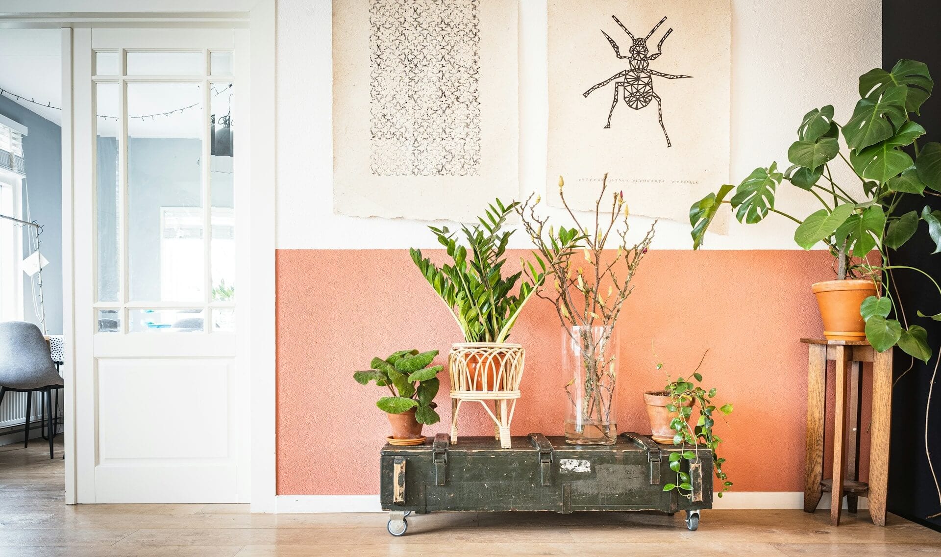 Boost Your Home's Air Quality Naturally