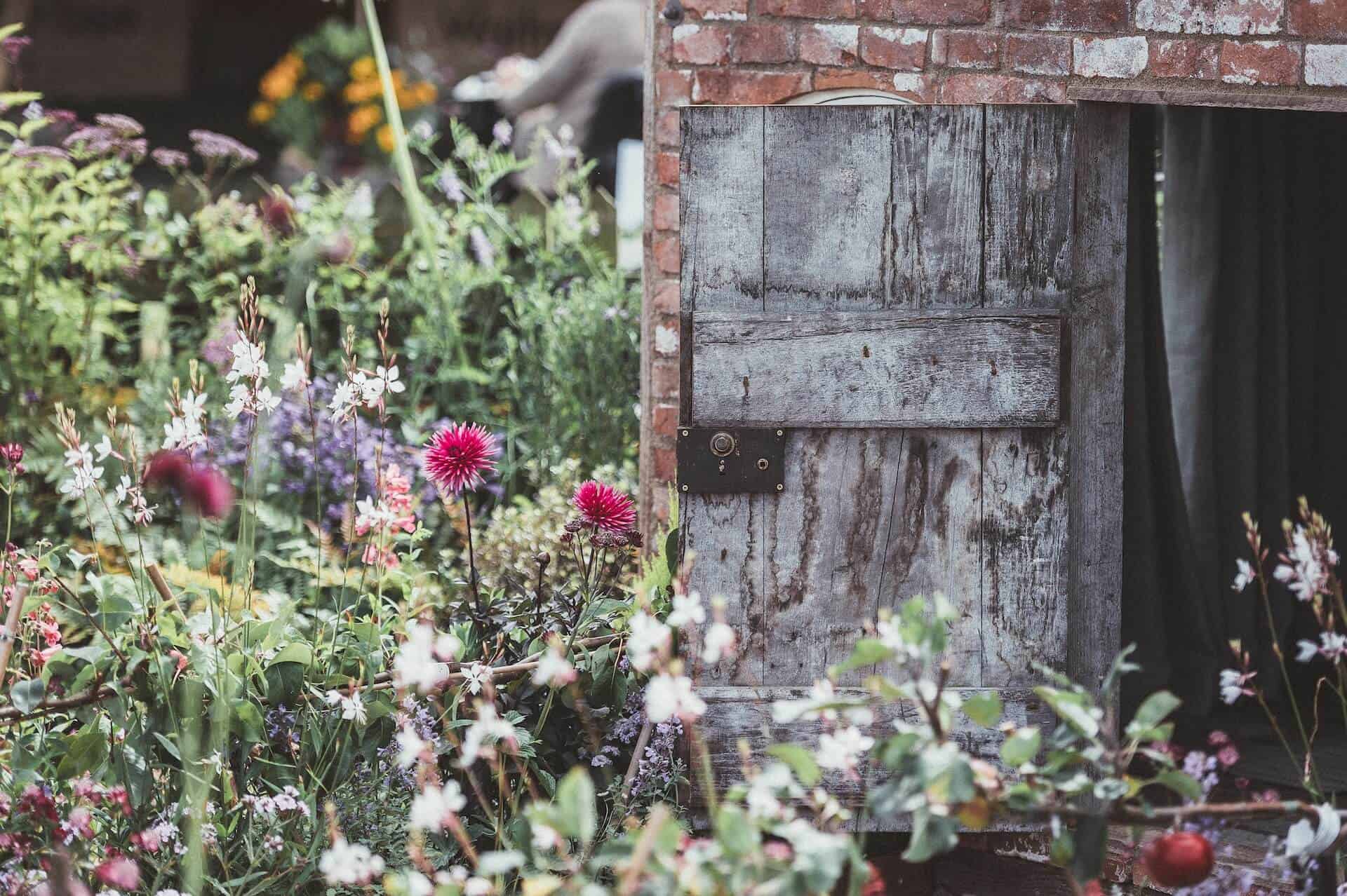 Steps To Deal With Your Overgrown Garden