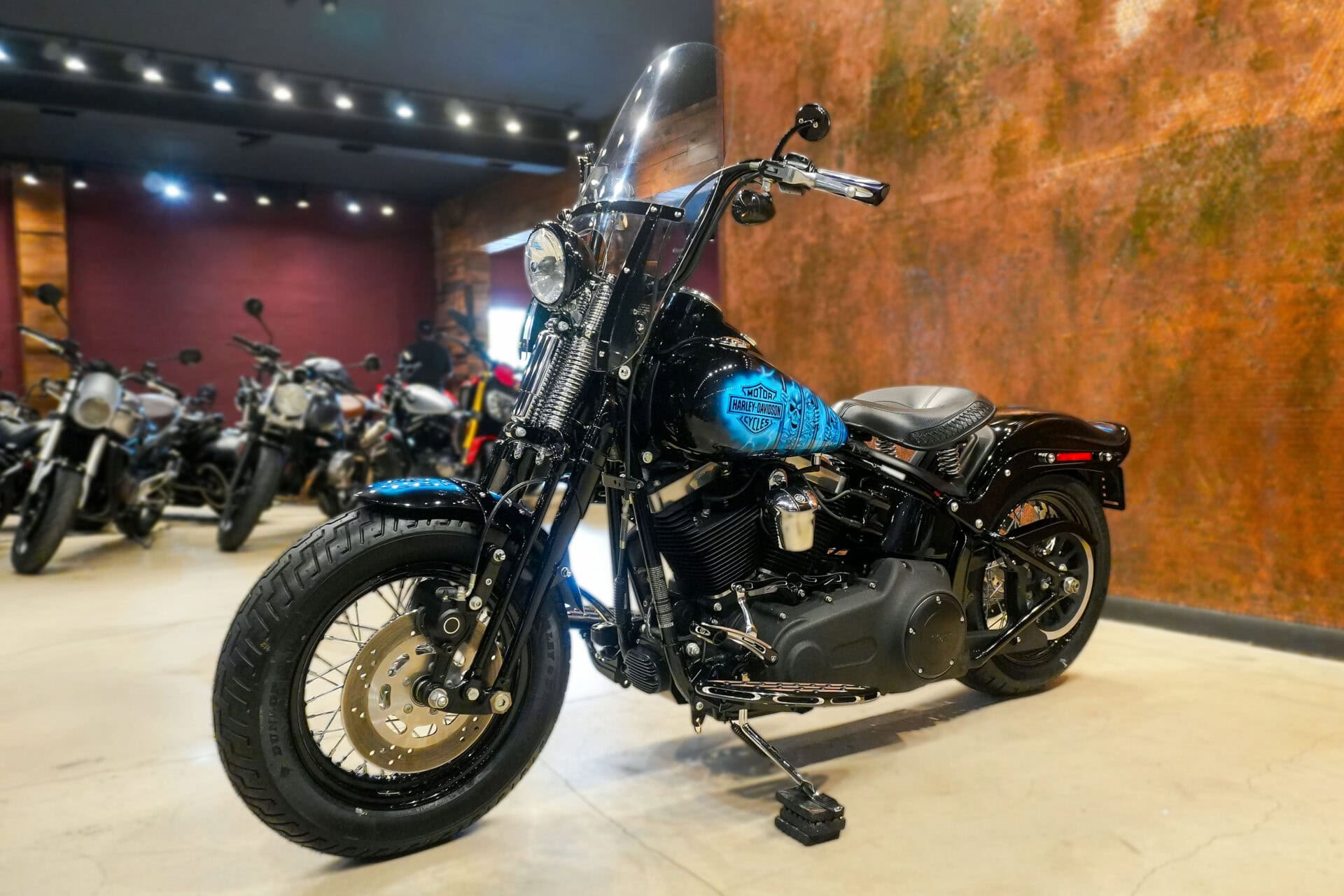 2009 HARLEY DAVIDSON CROSS BONES