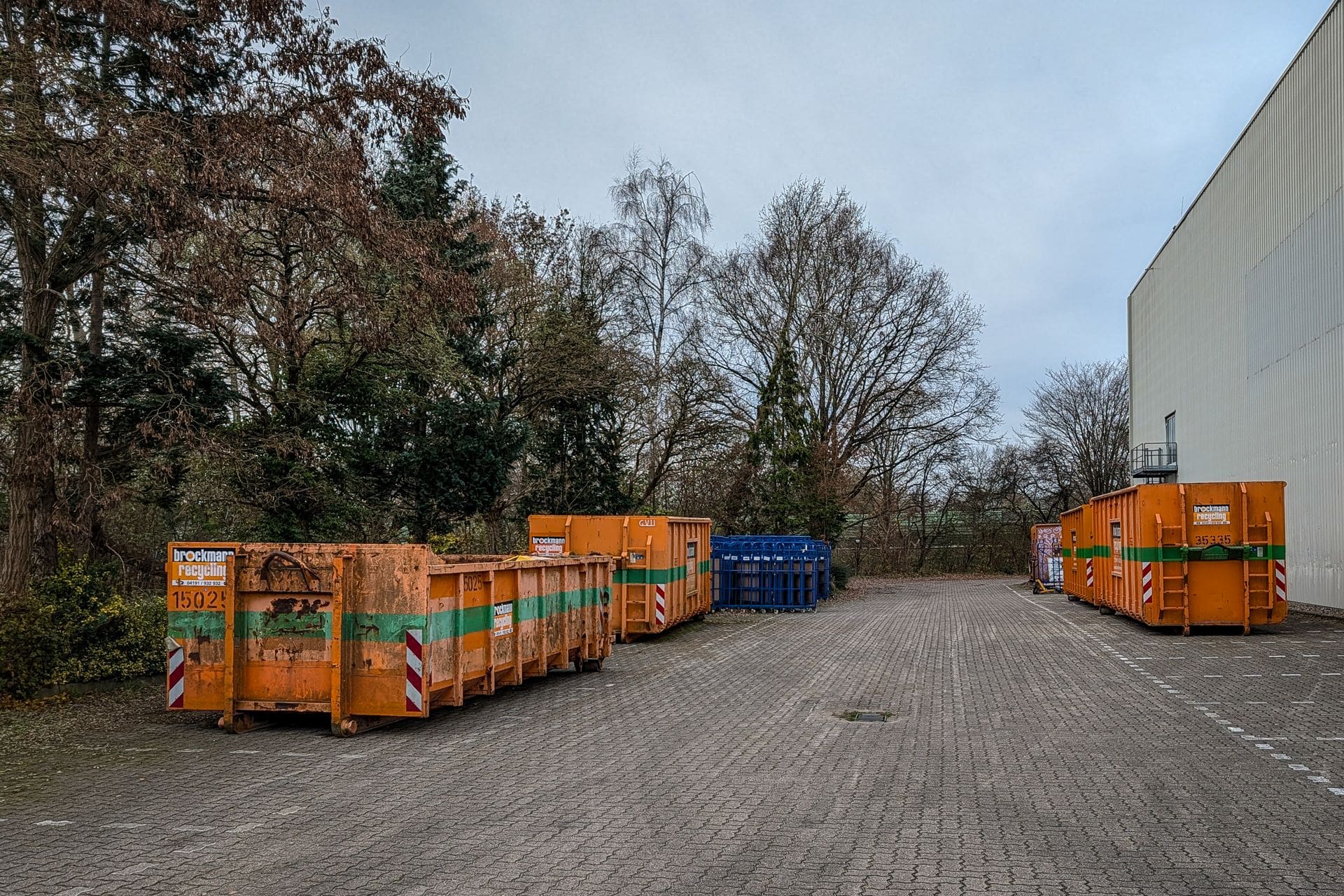 Container für den Abtransport bei einer Grundstücksentrümpelung