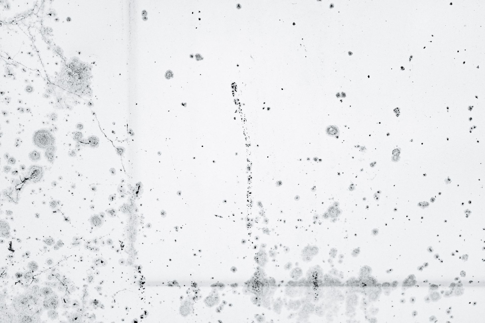 Schimmelbefall an der Wand als Spätfolge eines unentdeckten Wasserschadens