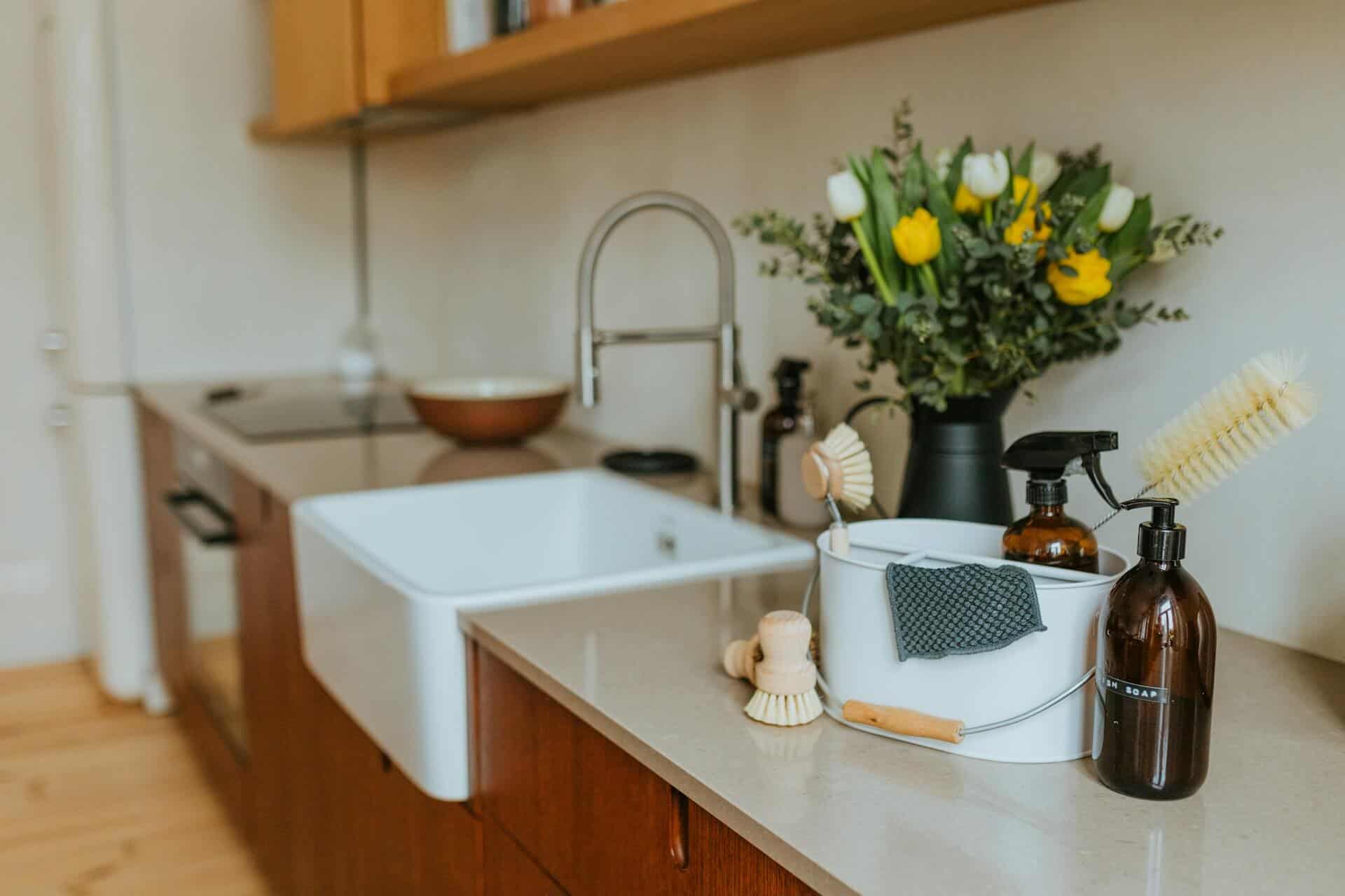Eco-Friendly Strategies for a Pest-Free Home