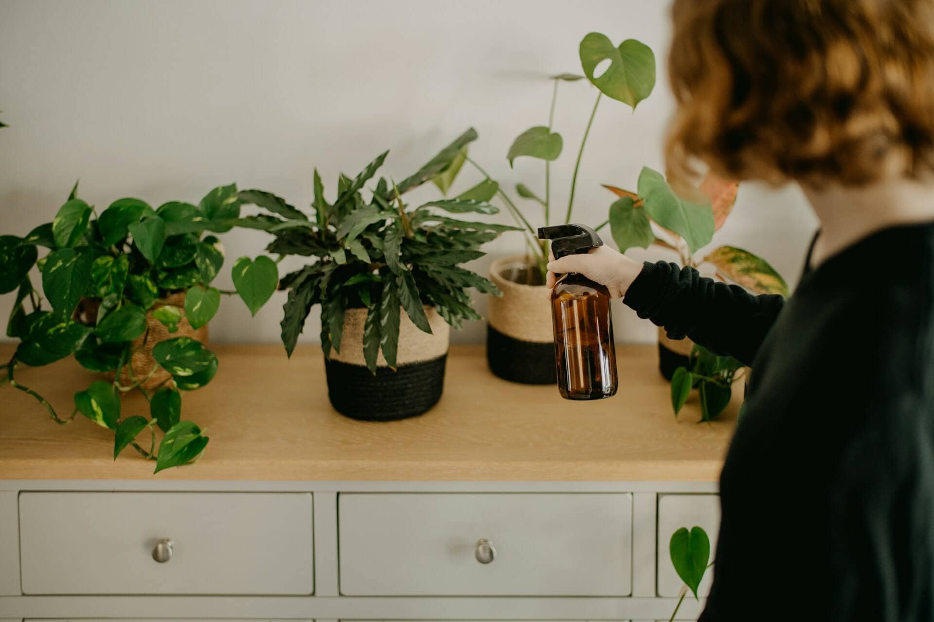 Practical Ways to Make Your Household More Sustainable