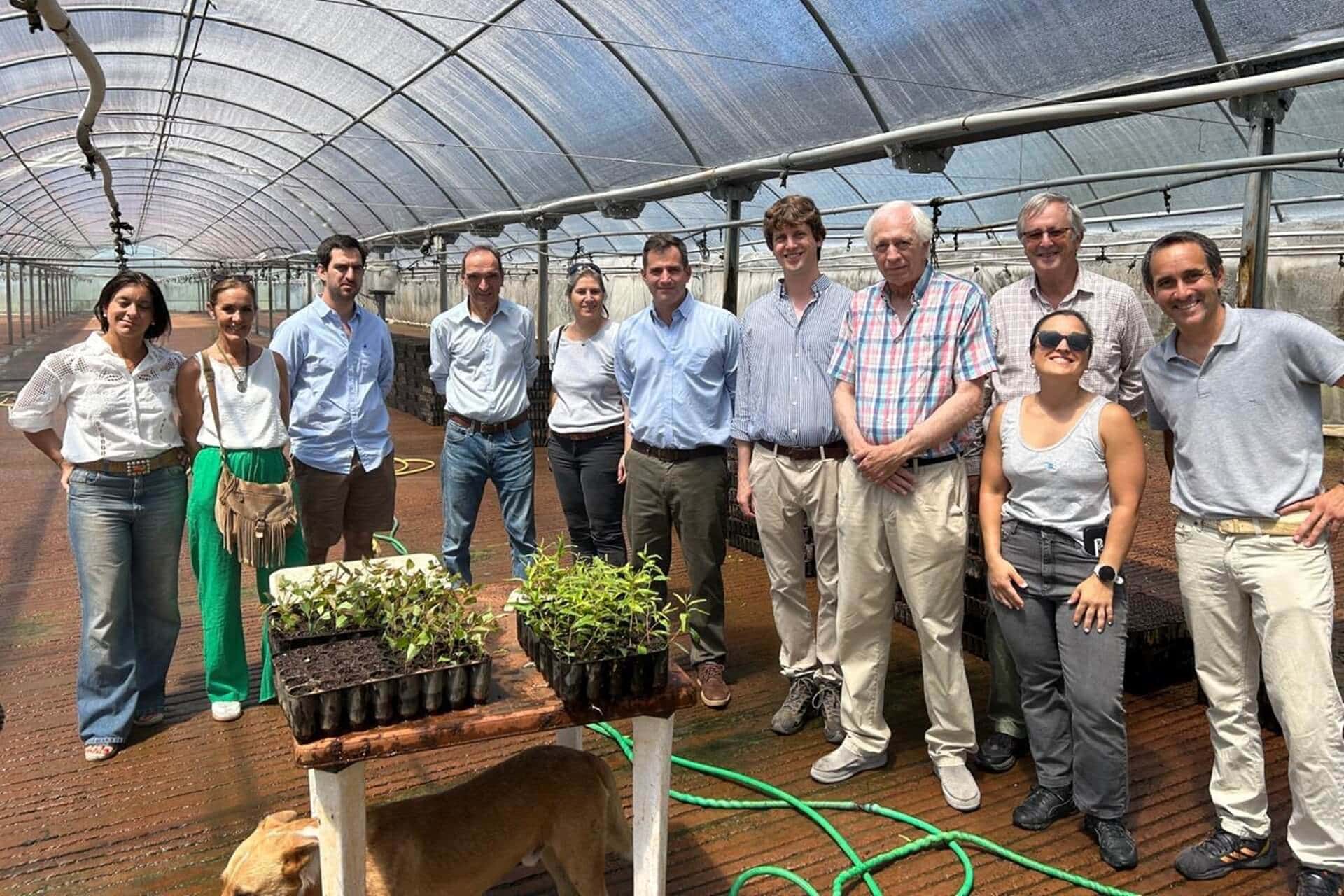 Trabajo conjunto entre el Estado y los productores impulsa al sector forestal 2 forestal