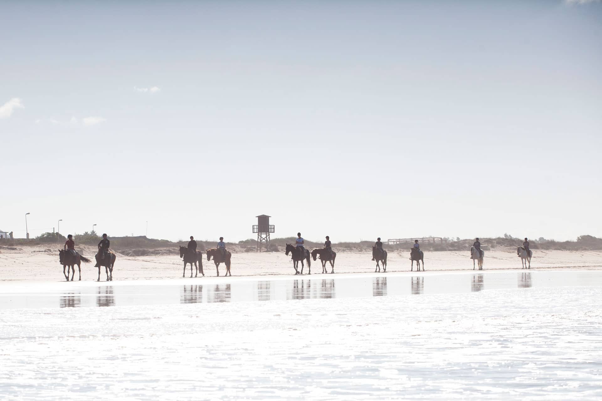 paseo a caballo por la playa