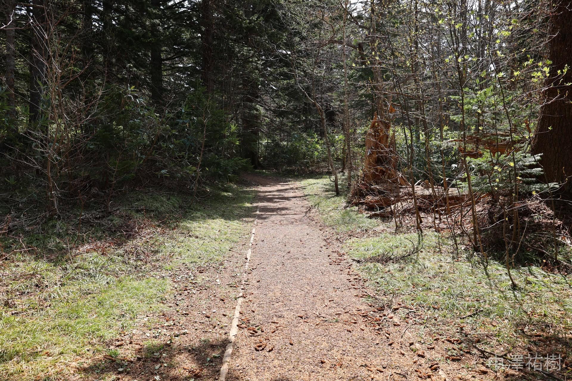落ち葉の積もる遊歩道