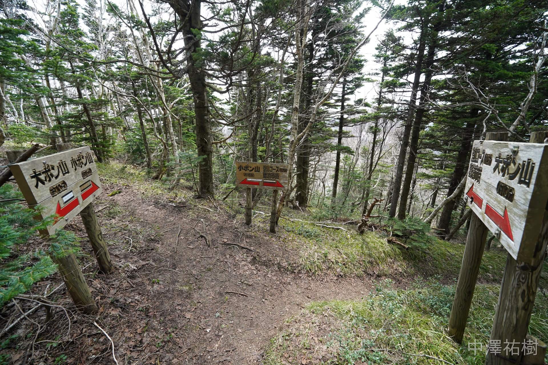 ポン山山頂への道標の分岐点