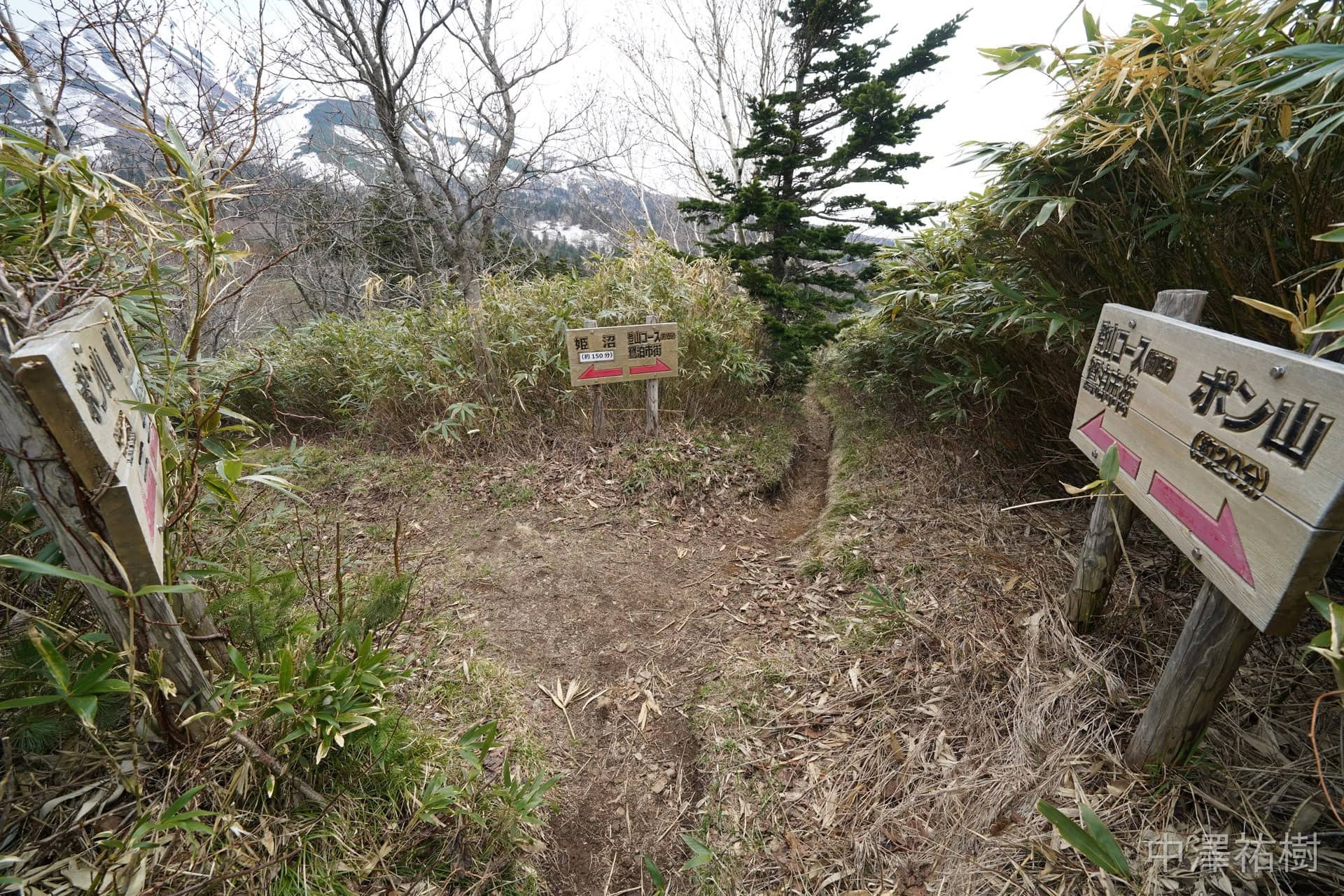 ポン山登山口の道標と笹の道