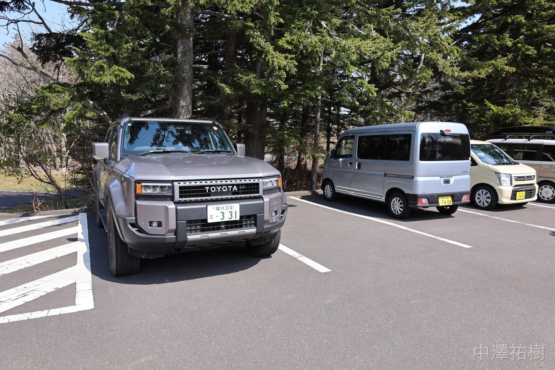 針葉樹の駐車場のランドクルーザー