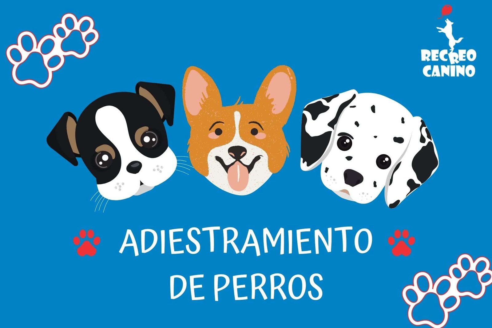 Educar desde chiquitos a tus perros Adiestramiento de cachorros