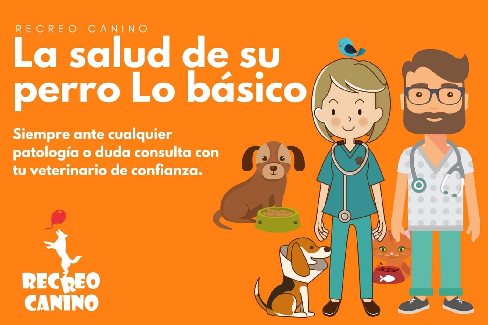 Siempre ante cualquier patología o duda consulta con tu veterinario de confianza. mascotas, salud, medicamentos, perros, gatos, cuidados, aseo