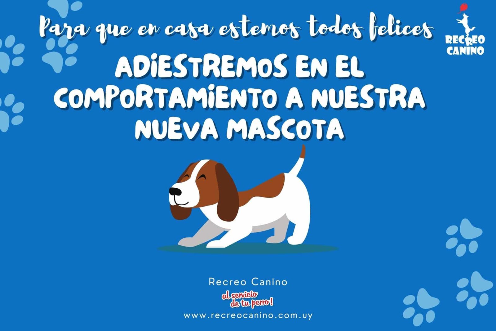 adiestremos en el comportamiento a nuestra nueva mascota problemas de comportamiento del perro, entrenamiento del comportamiento del perro