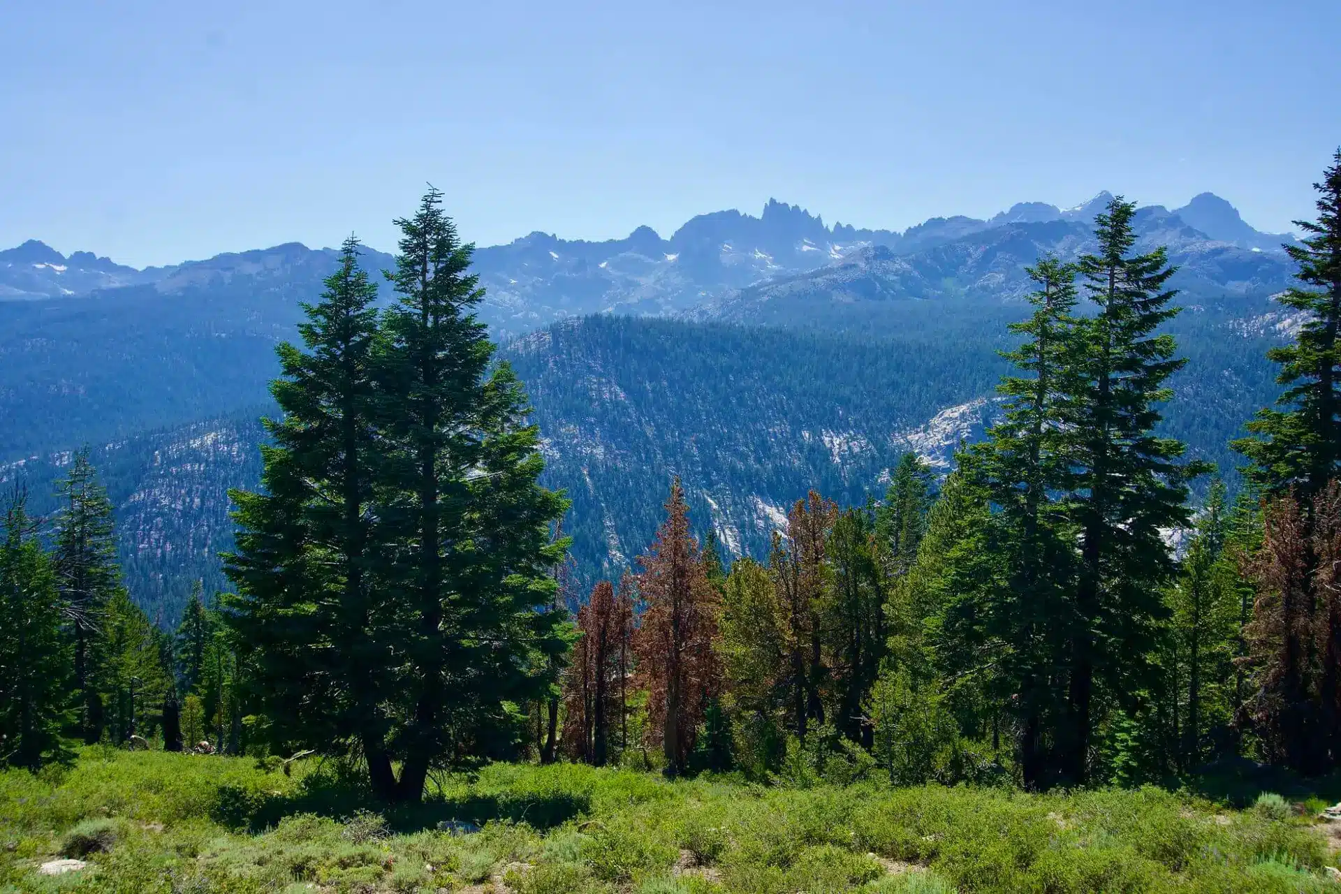 Mammoth Lakes area
