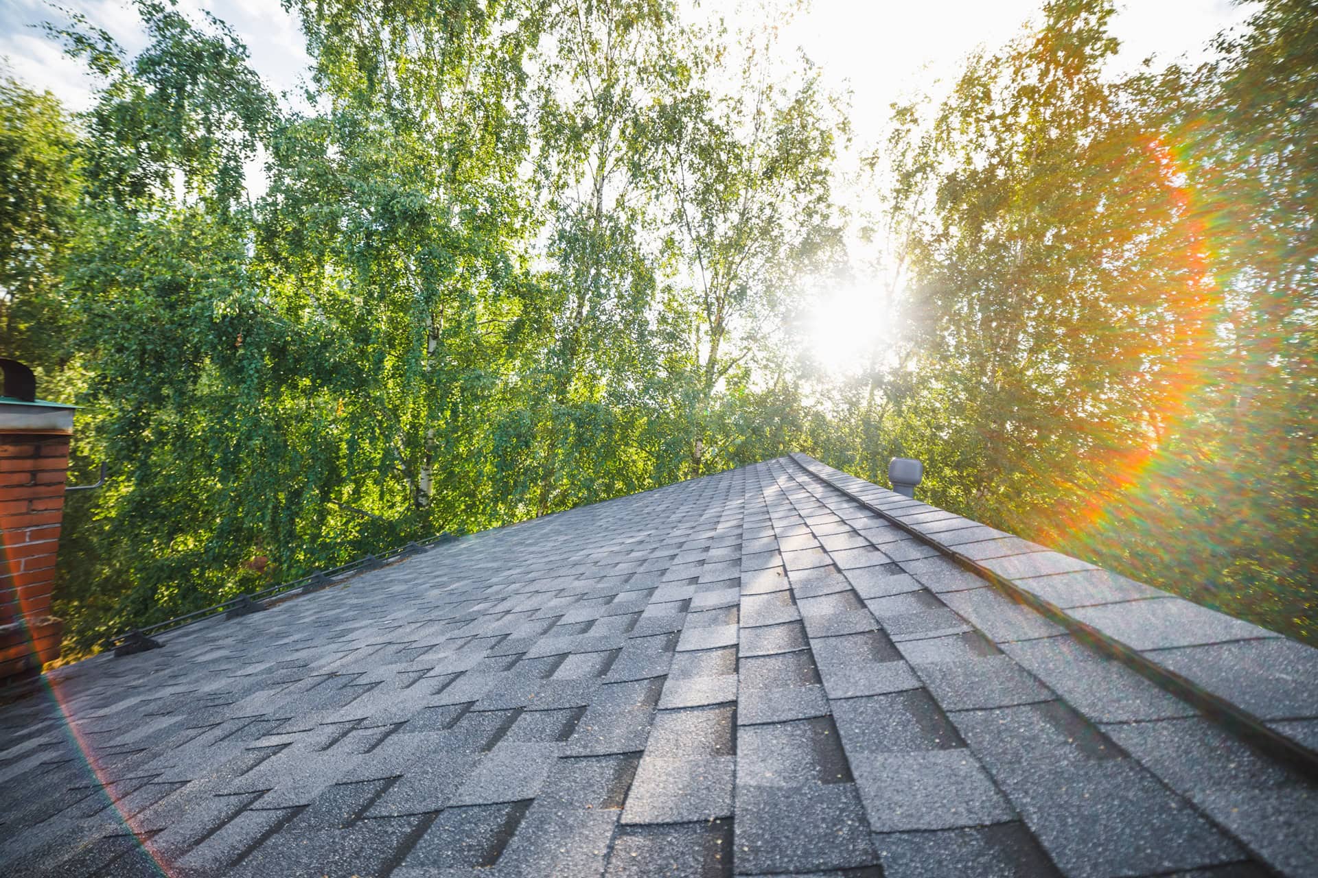 Heatwaves & Your Roof: Could Hot Weather Be Causing Roof Damage?