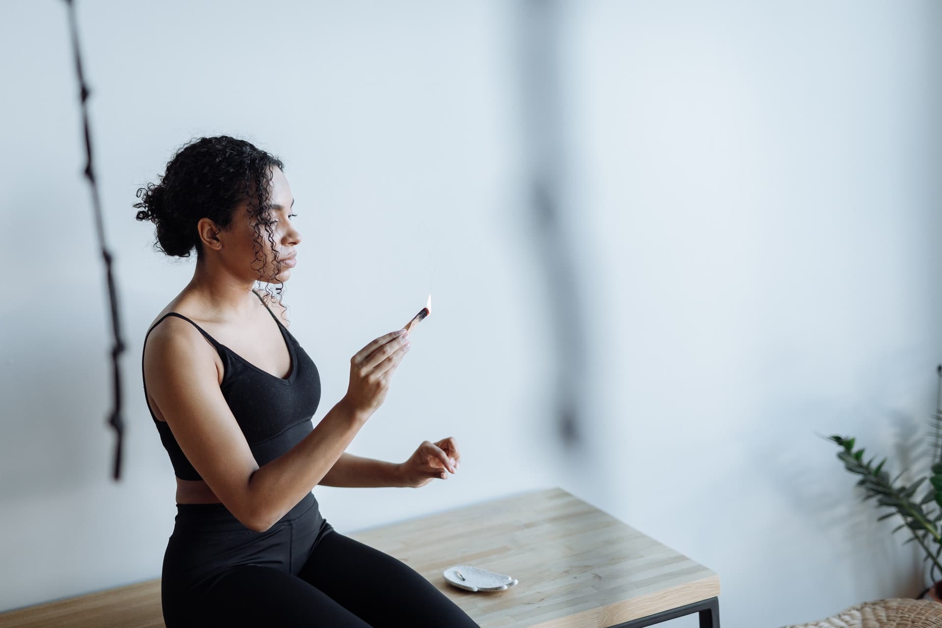 Lire la suite à propos de l’article Propriétés du Palo Santo