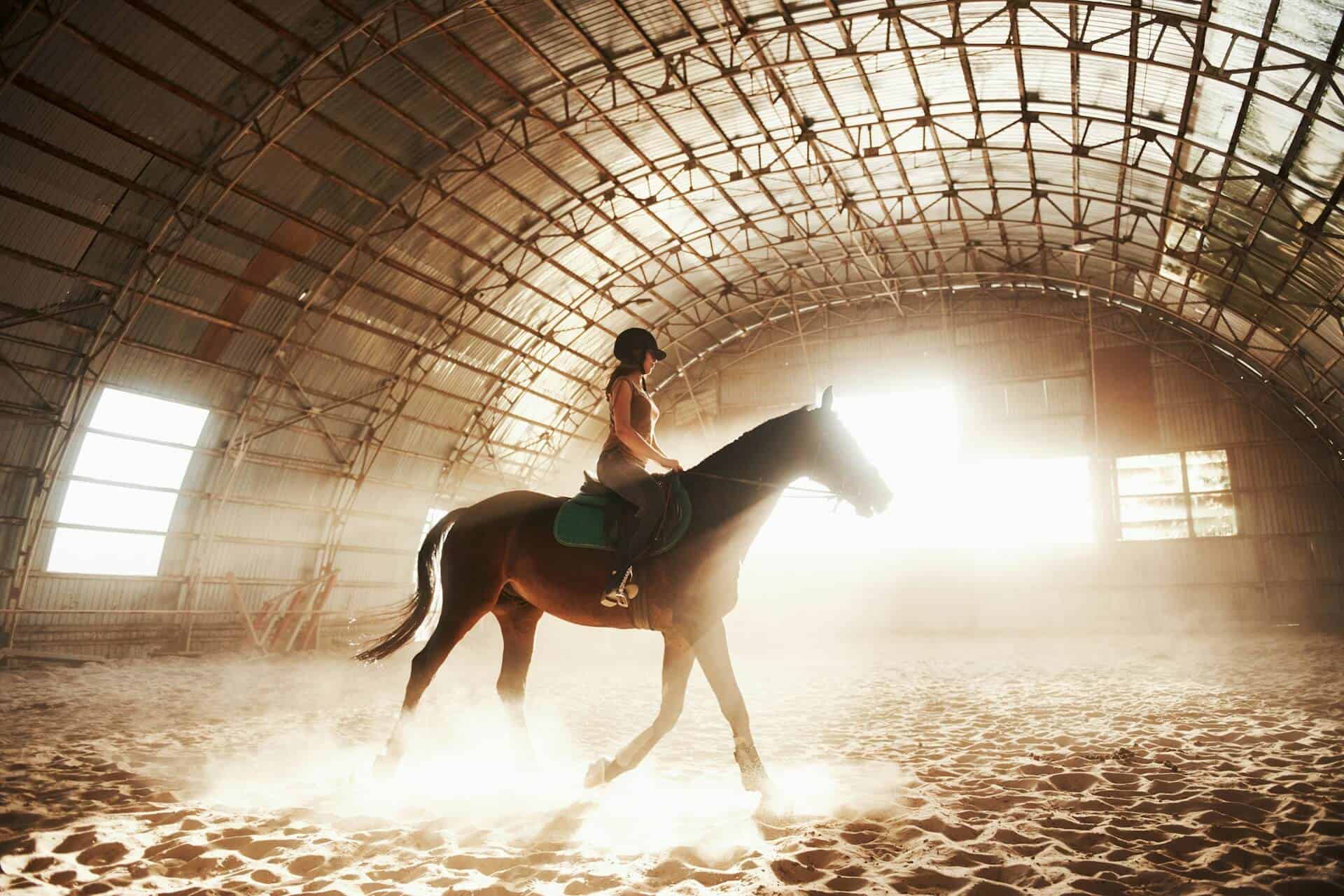 The Best Music-Inspired Horse Names