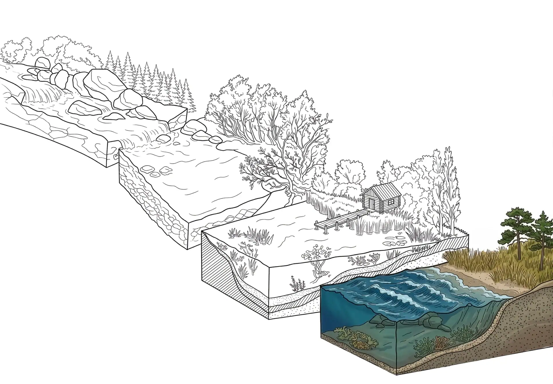 Isometric illustration of a coastal shoreline with surf zone – body of water guide for saltwater fishing