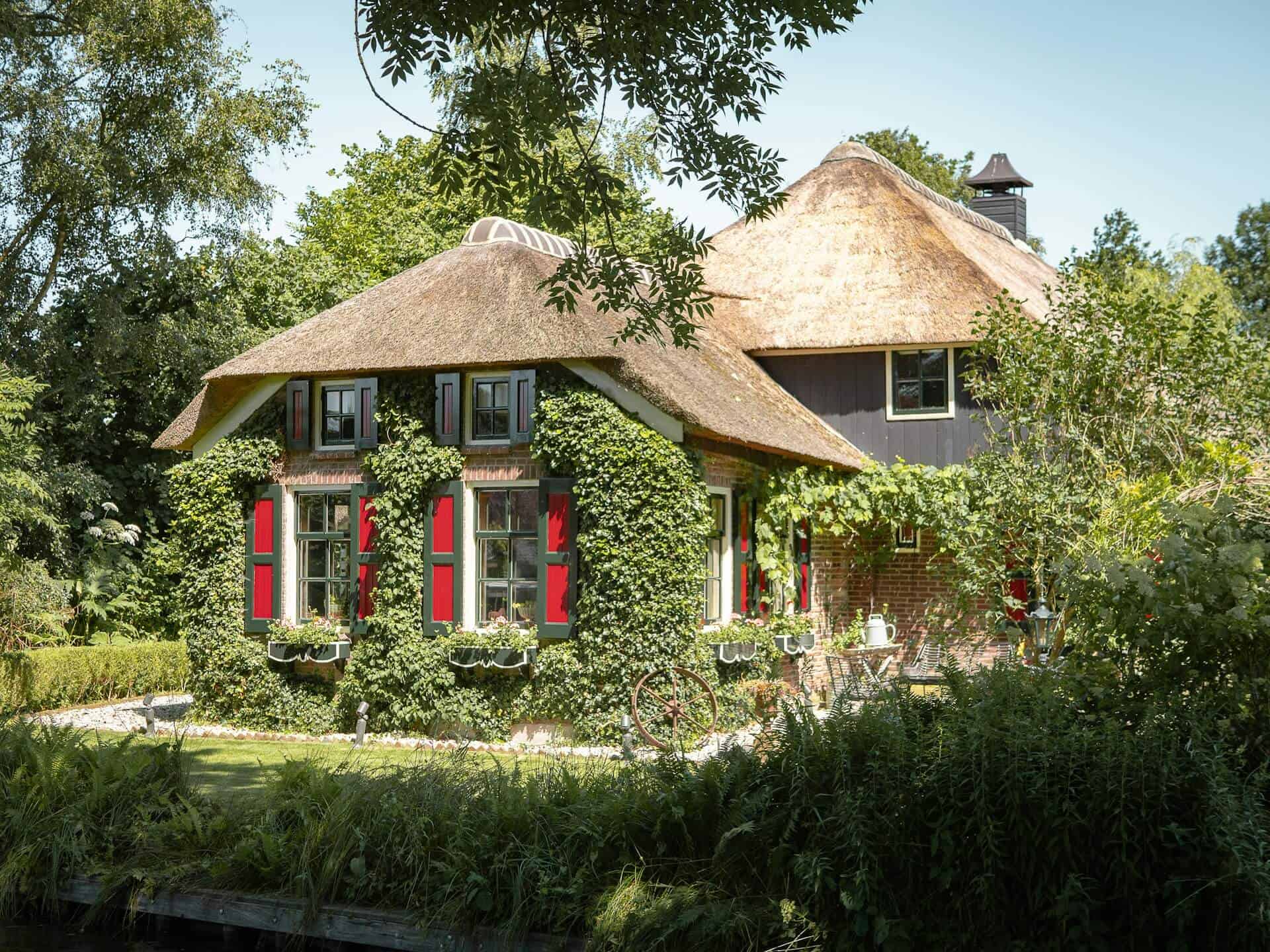 The Hidden Garden Risks To Look For When Buying an Older Property