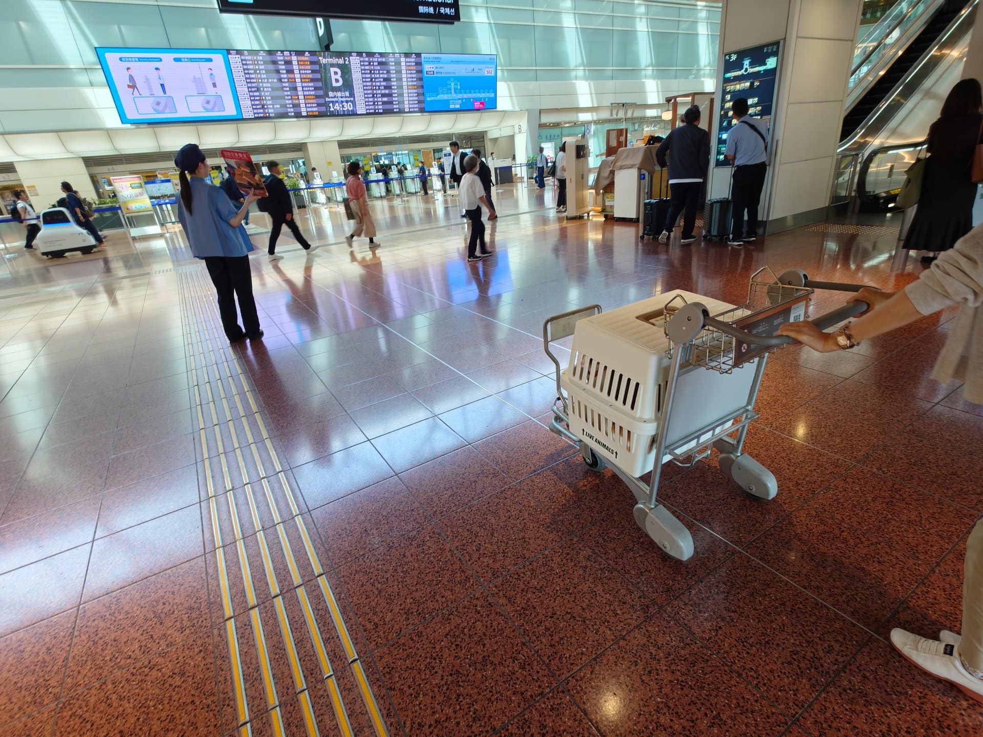 羽田空港ターミナル内でカートに乗ったハードケージ