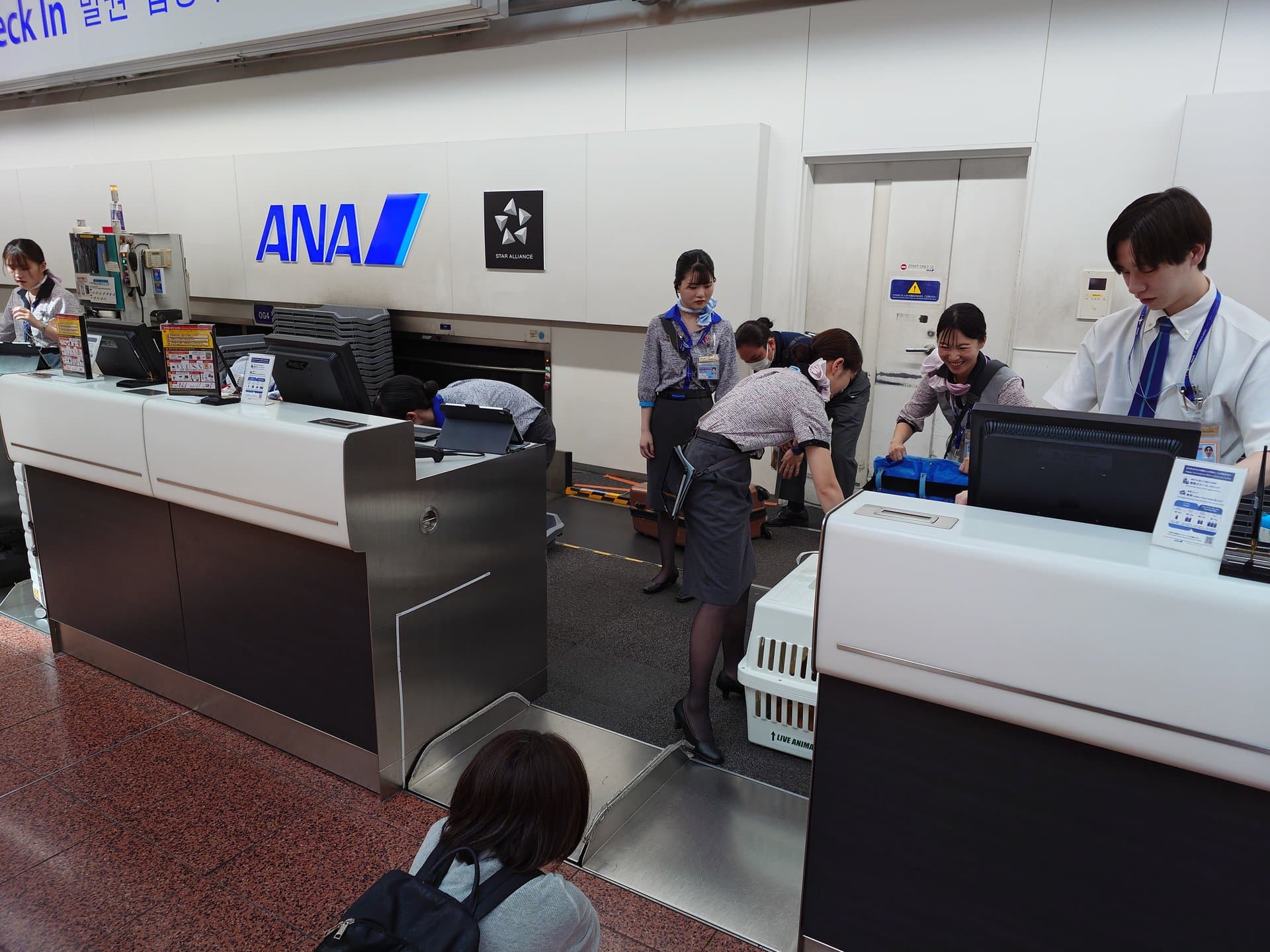 ANAチェックインカウンターで複数スタッフがケージ対応