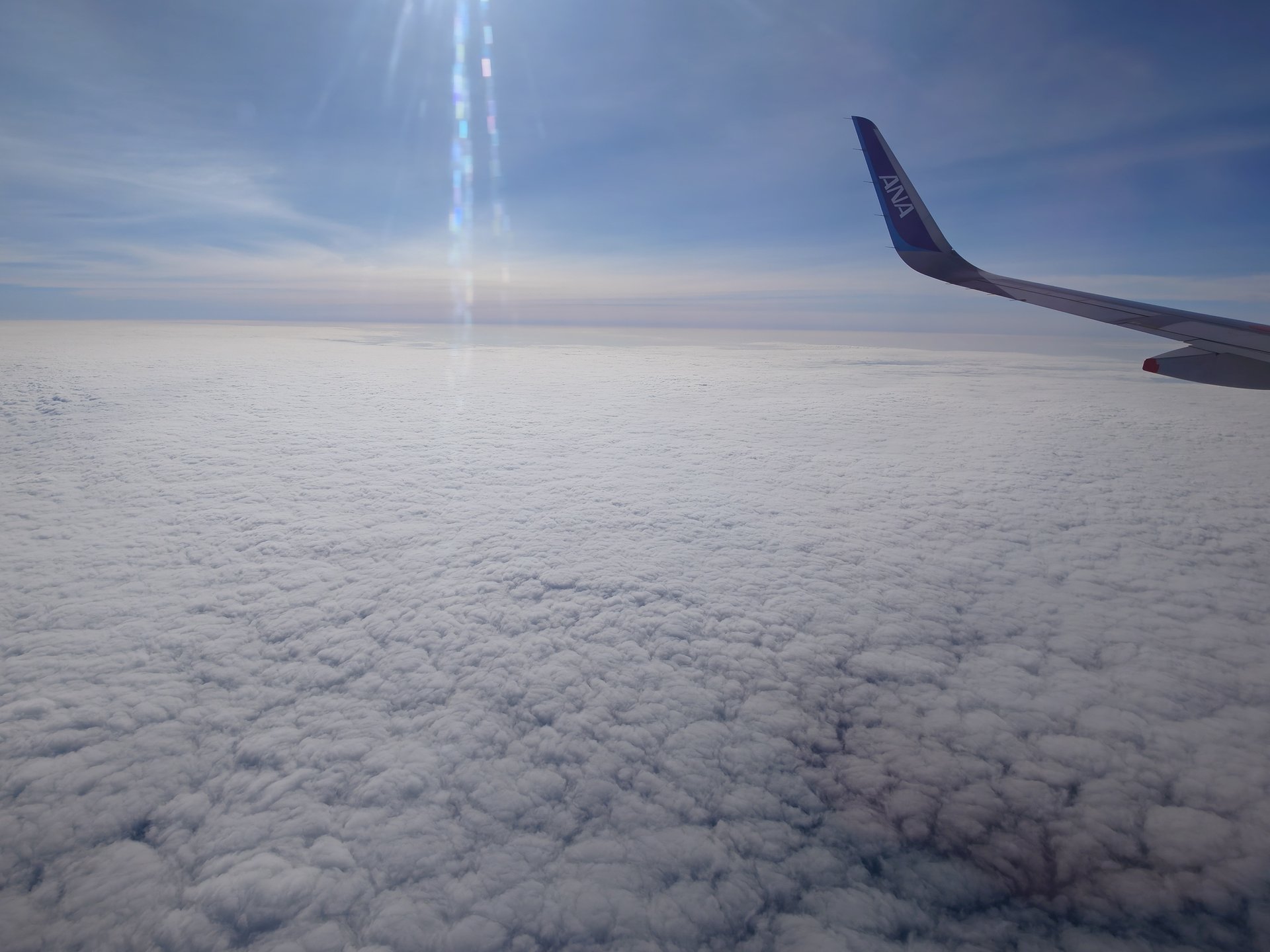 ANA翼と一面に広がる雲海