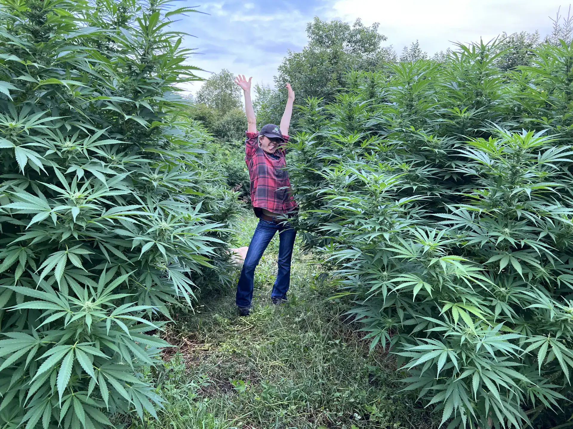 tanya next to hemp plant field