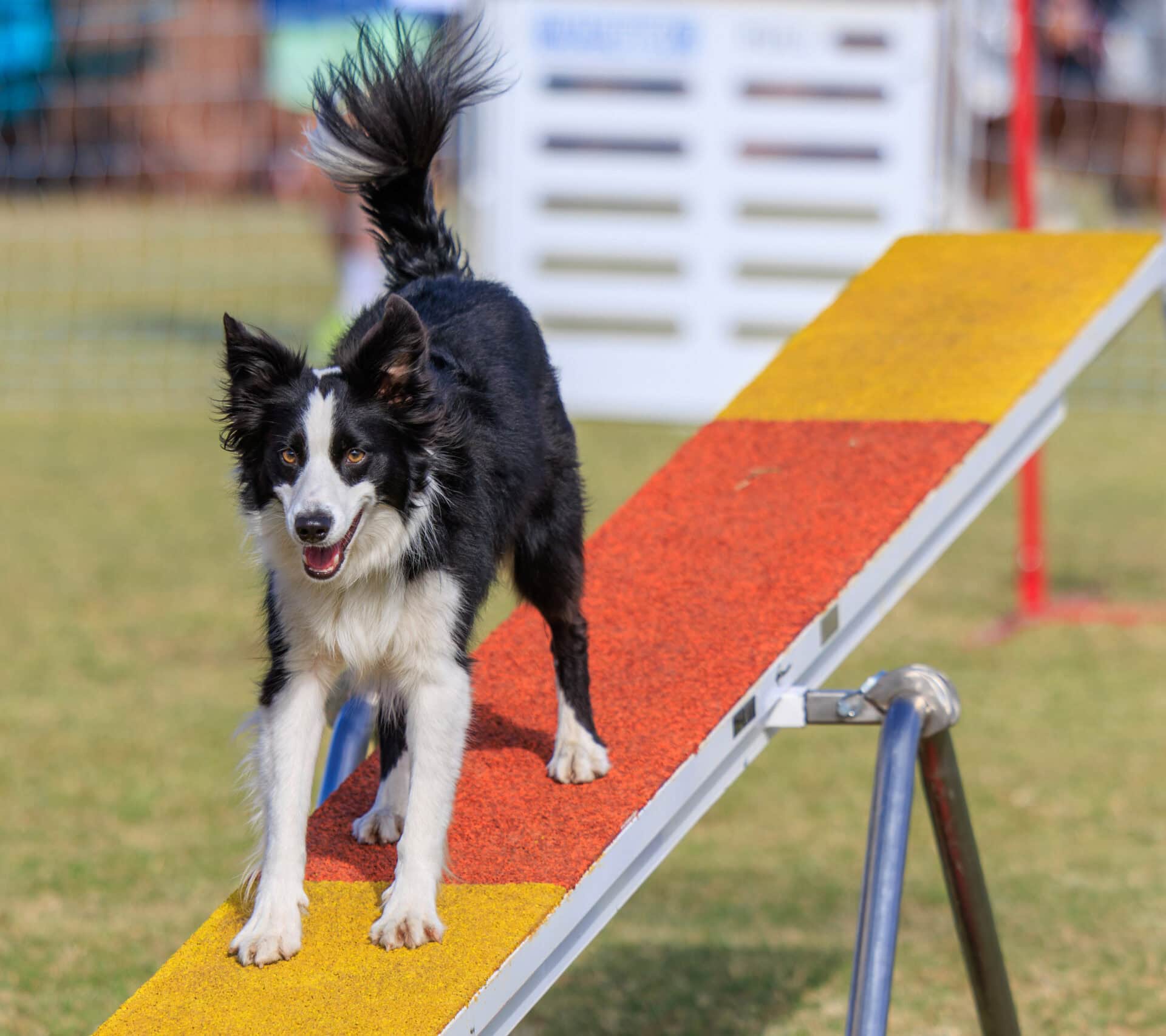 GDA USDAA 110224 1359 scaled e1754597814505