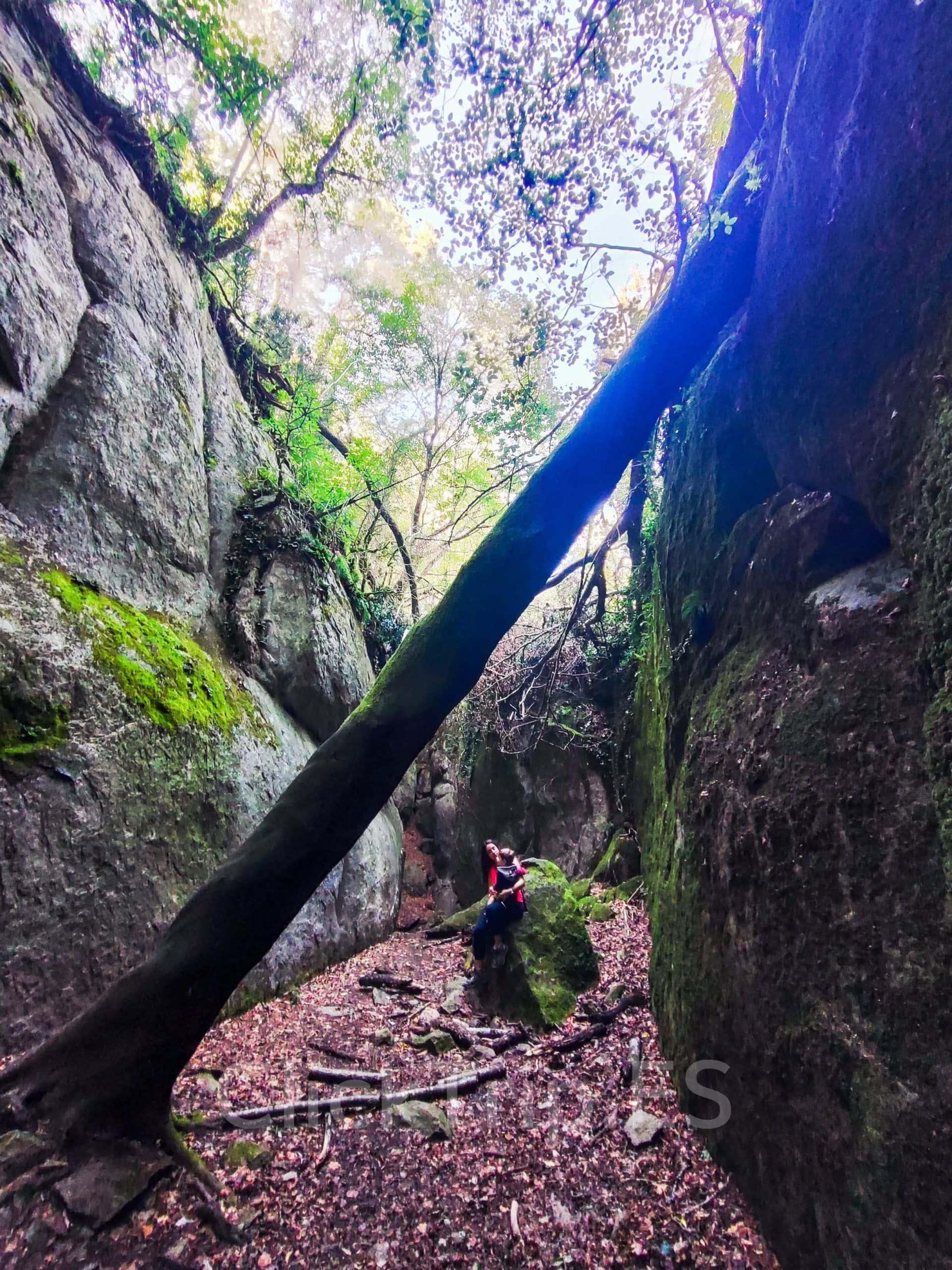 Ruta Como Llegar Bufadors de Beví Excursión con niños Cataluña ClickTrip Ruta Como Llegar Bufadors de Beví Excursión con niños Cataluña ClickTrip