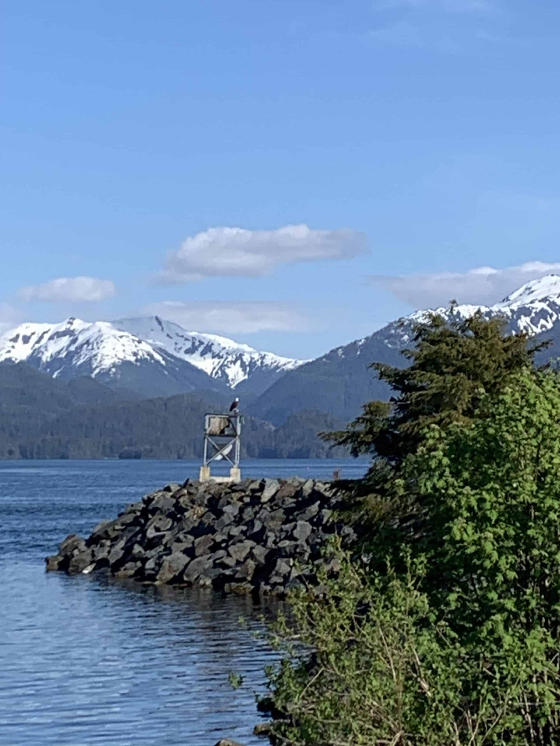 Scenic mountain and water landscape in Alaska, with snow-capped peaks and a rocky shoreline.