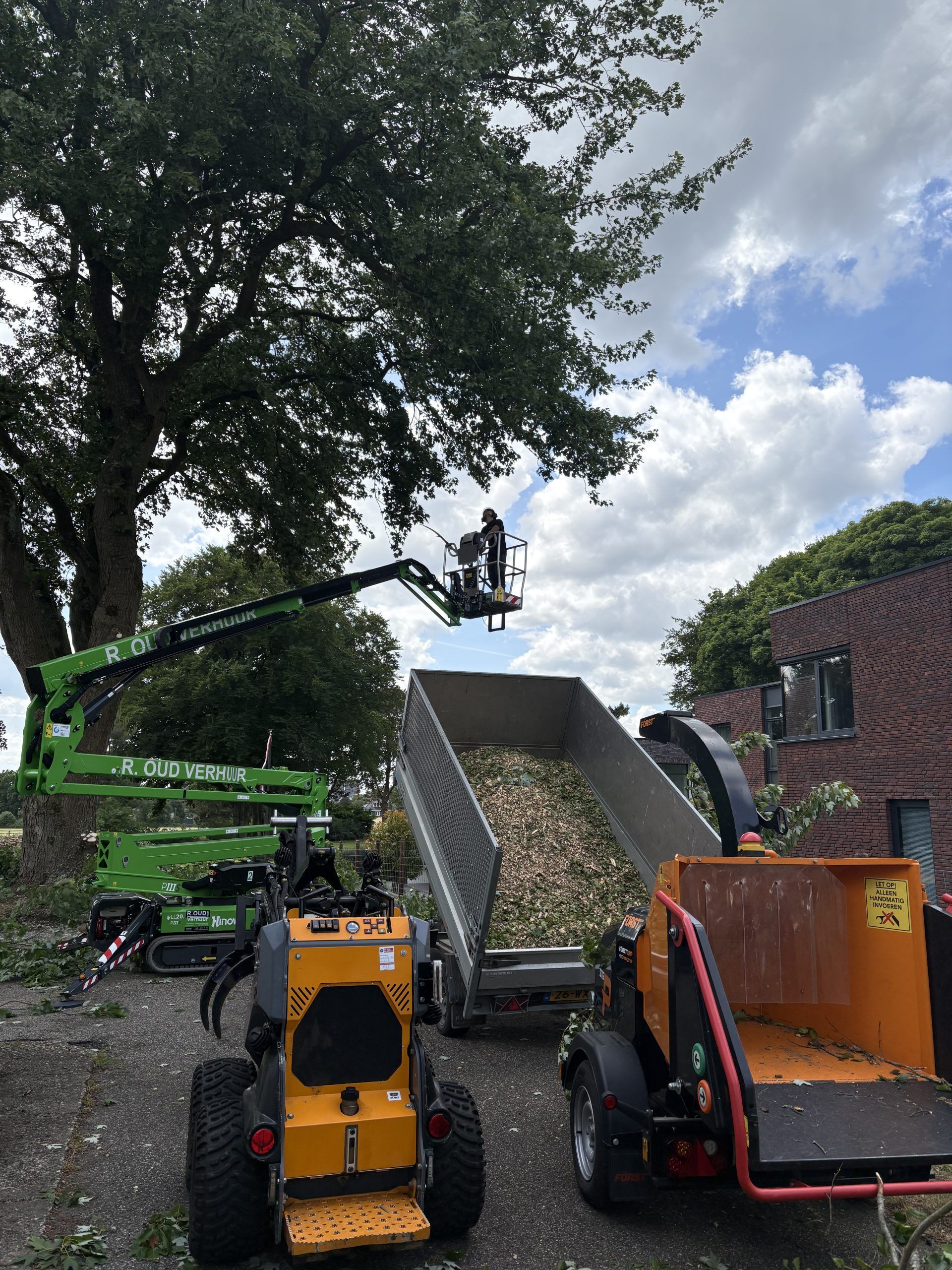 Eikenprocessierups verwijderen