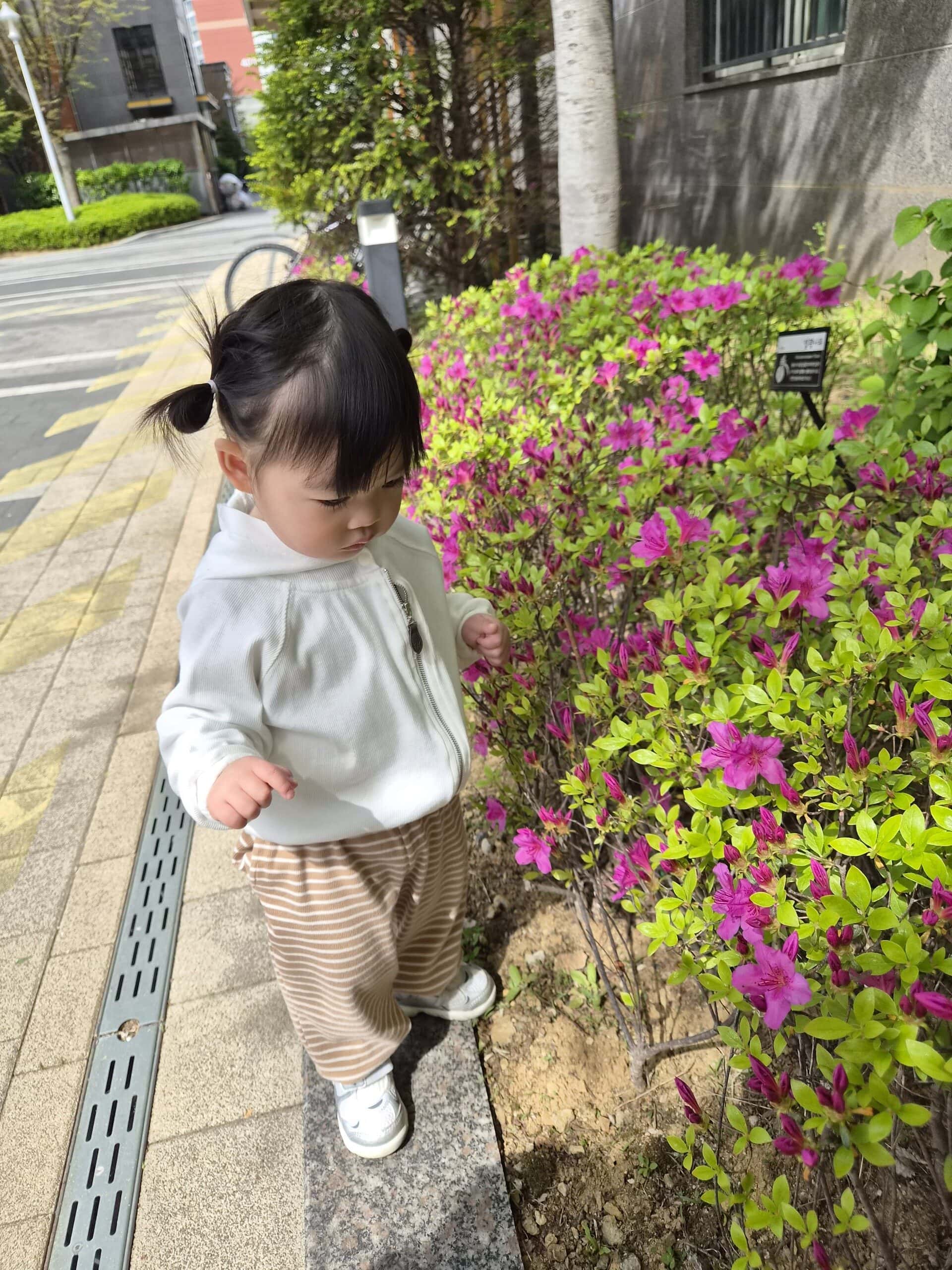 하린 어린이집 일상
