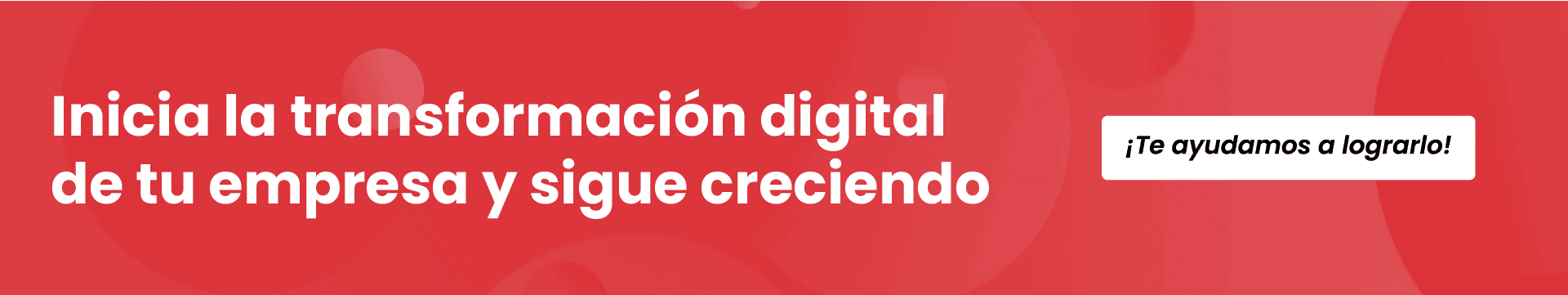 Aplicación de business intelligence en una empresa
