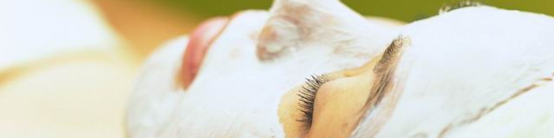 Orient Retreat Spa official website facial page banner, a lady with a layer of mask applied to face and relaxing.