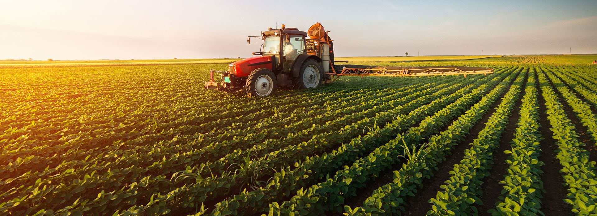 trattore nei campi di erba . lavorando la terra, agricoltura, sostenibilità